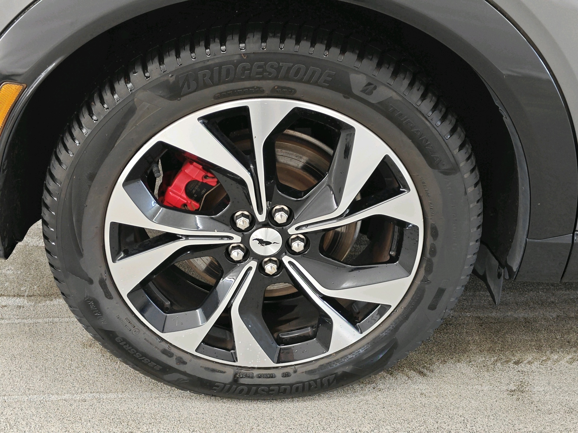 Foto van Ford Mustang Mach-e