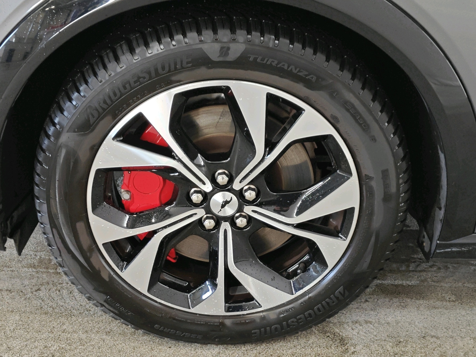Foto van Ford Mustang Mach-e
