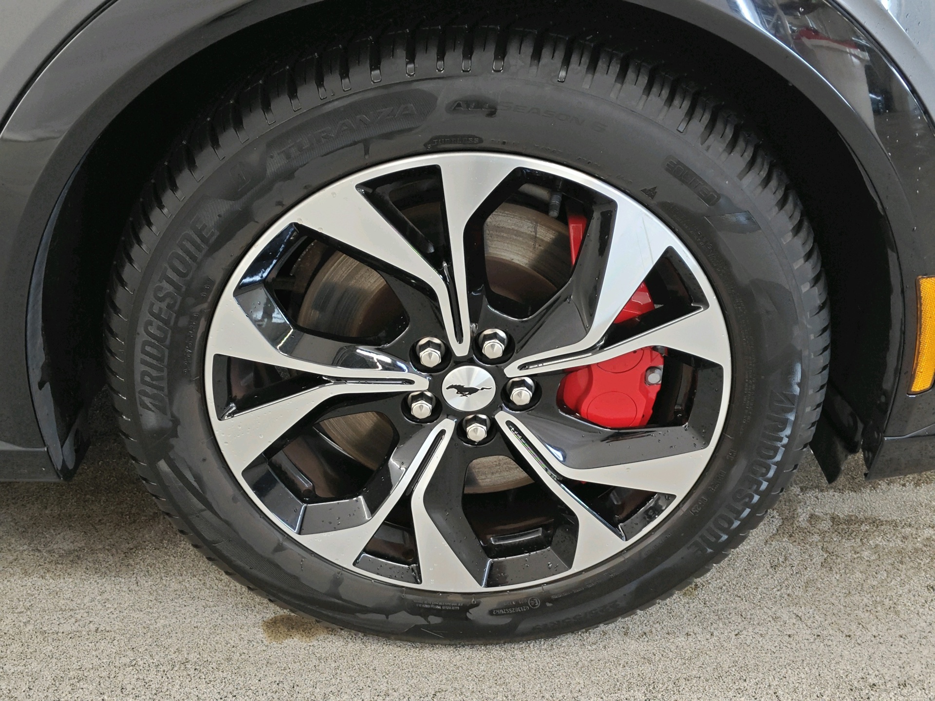 Foto van Ford Mustang Mach-e