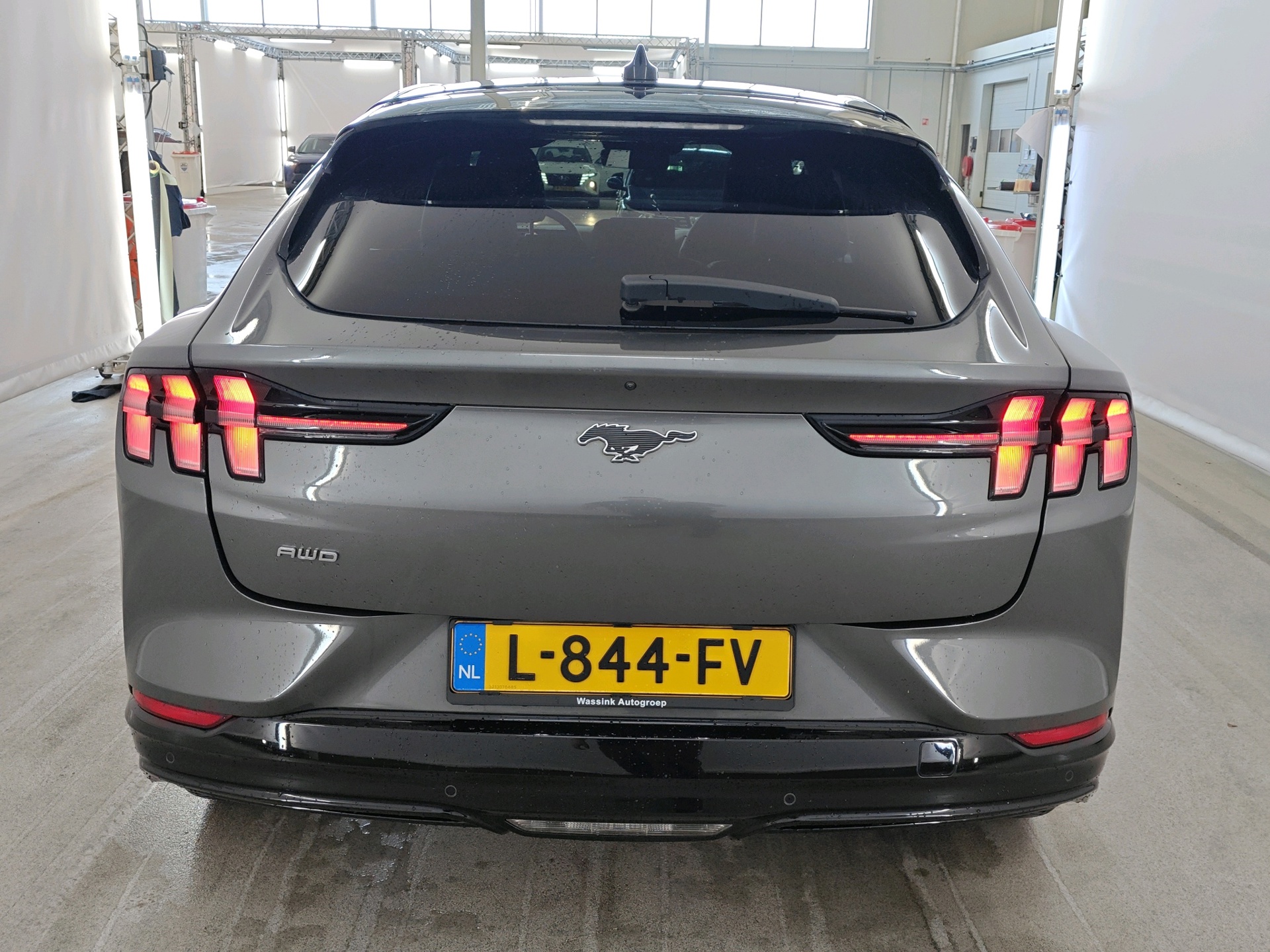 Foto van Ford Mustang Mach-e