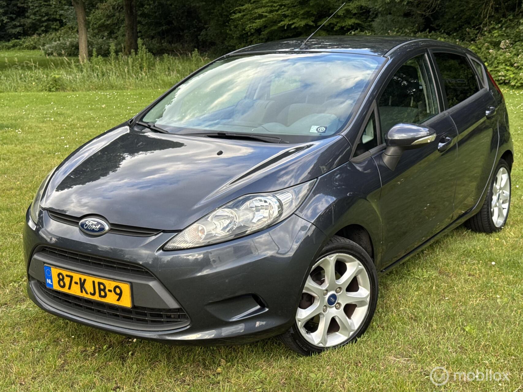 Ford Fiesta 1.25 Rijklaar 2009 - voorkant