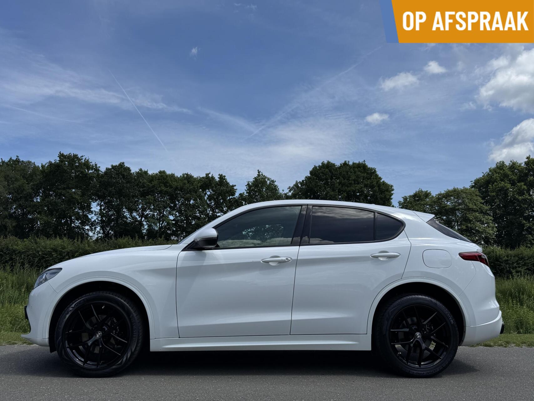 Foto van ALFA ROMEO STELVIO