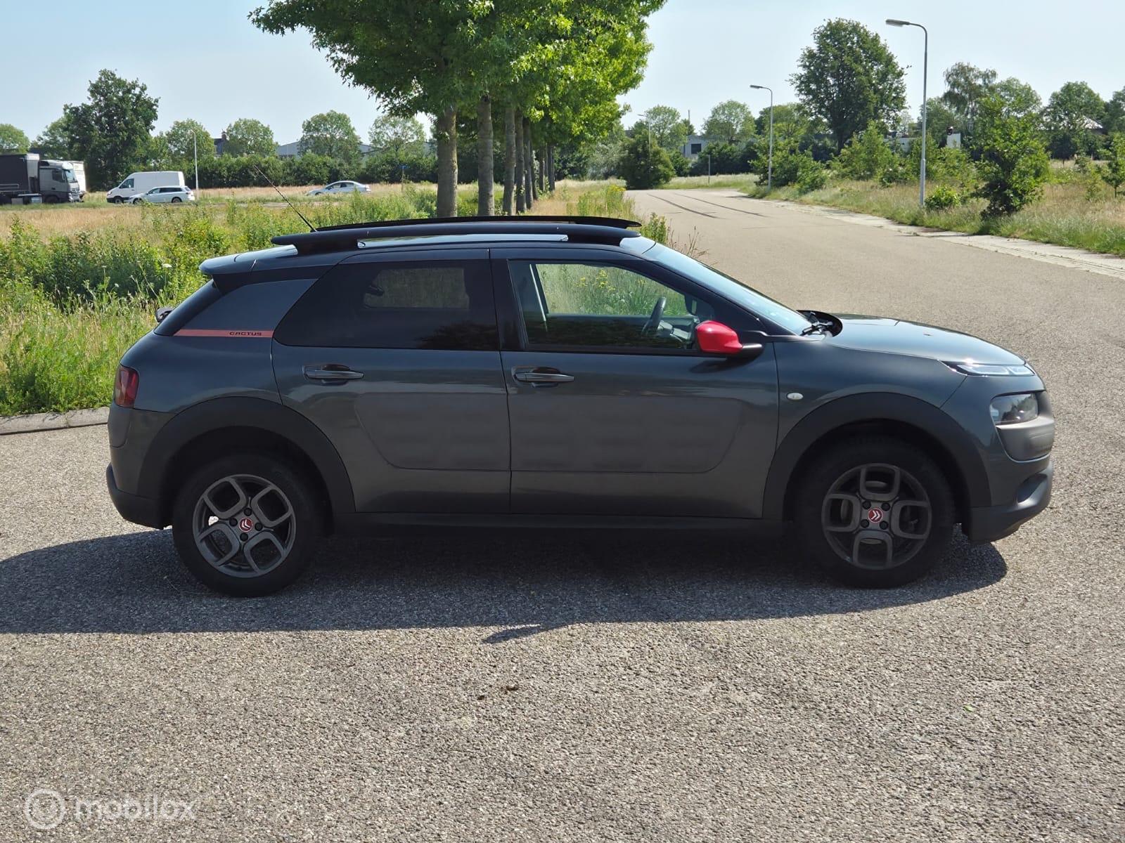 Foto van Citroen C4 Cactus