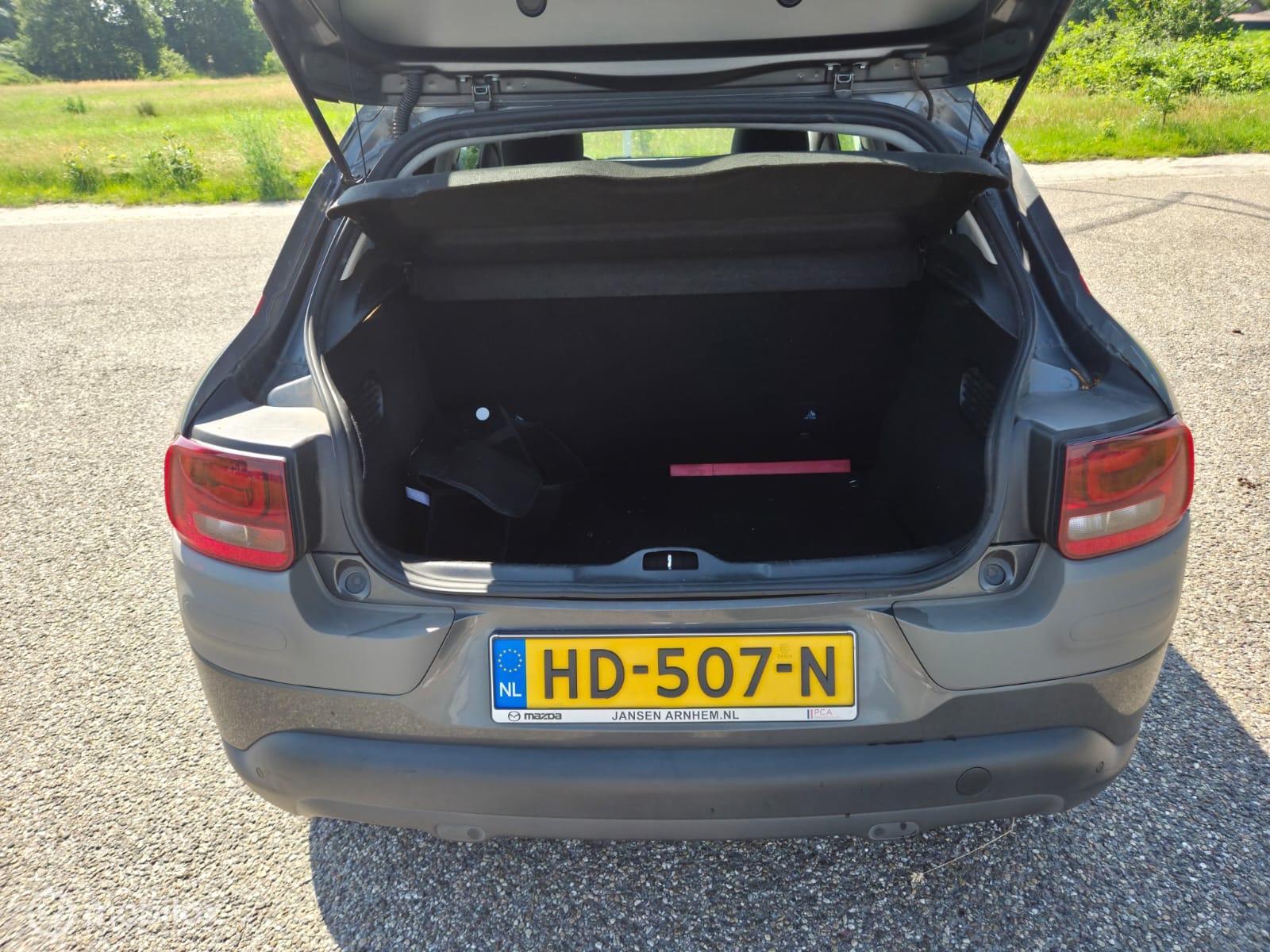 Foto van Citroen C4 Cactus