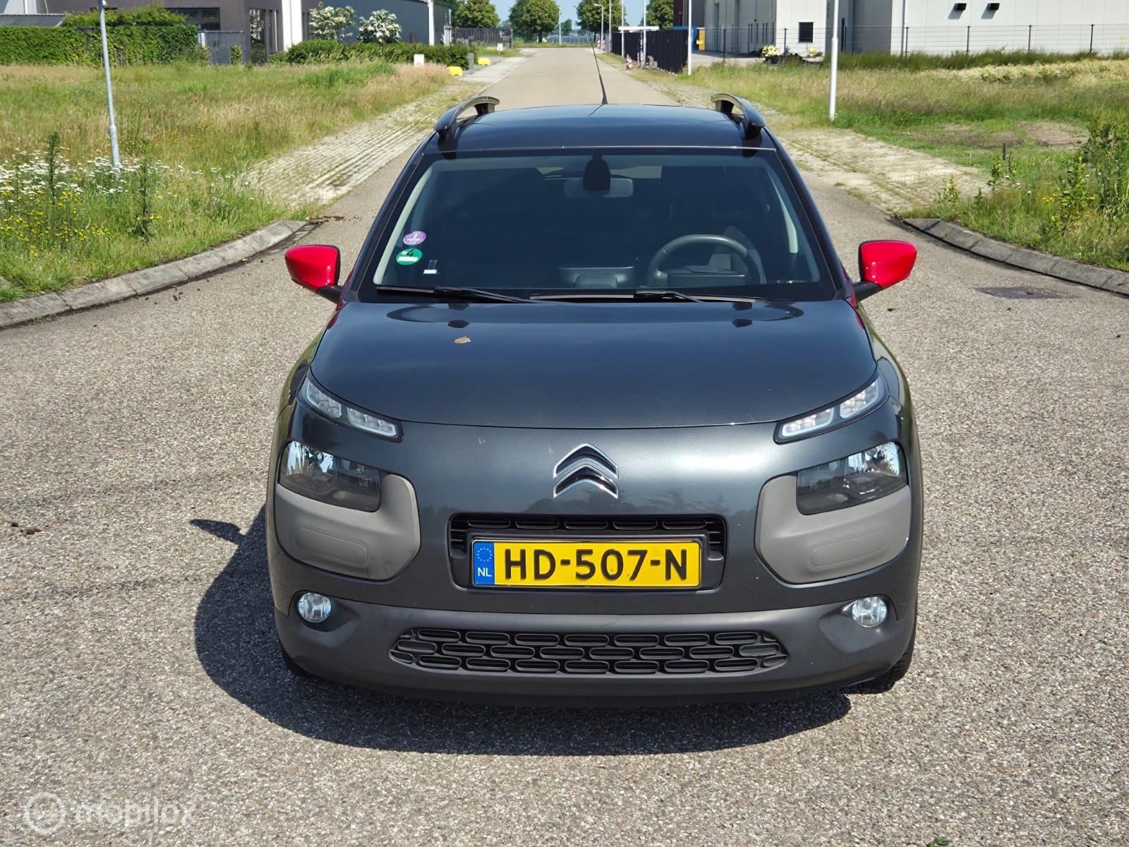 Foto van Citroen C4 Cactus