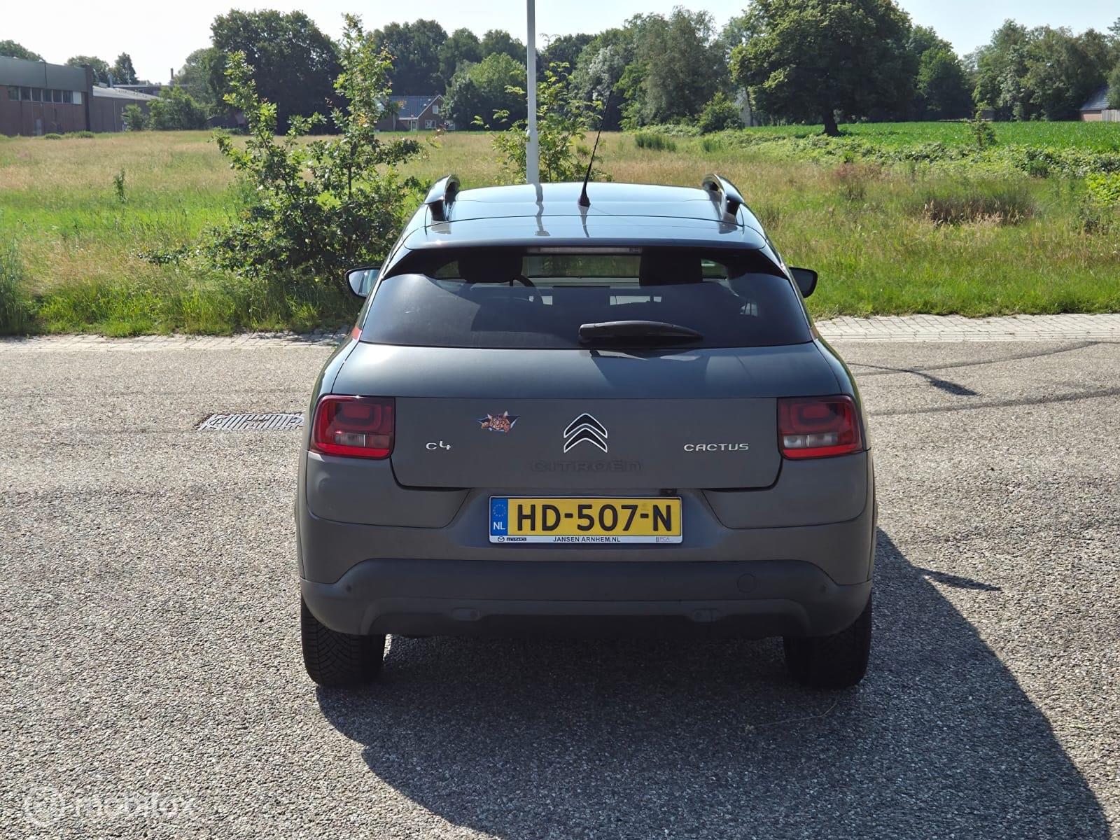 Foto van Citroen C4 Cactus