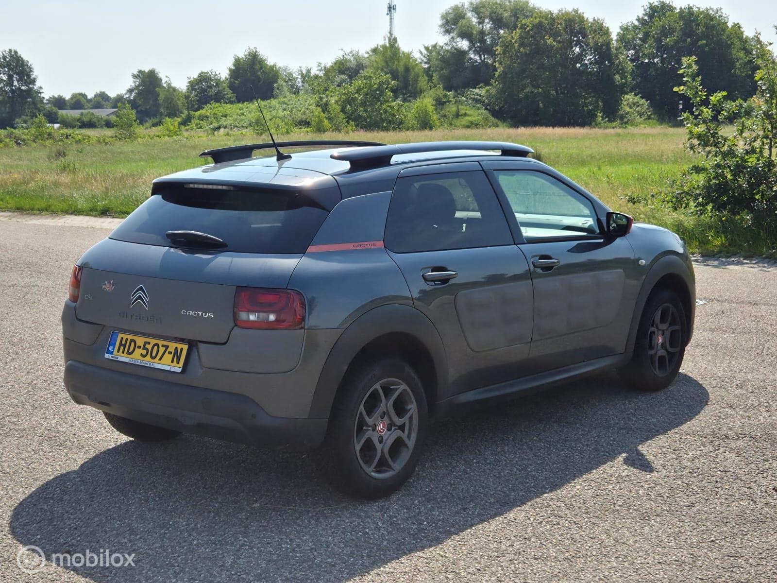 Foto van Citroen C4 Cactus
