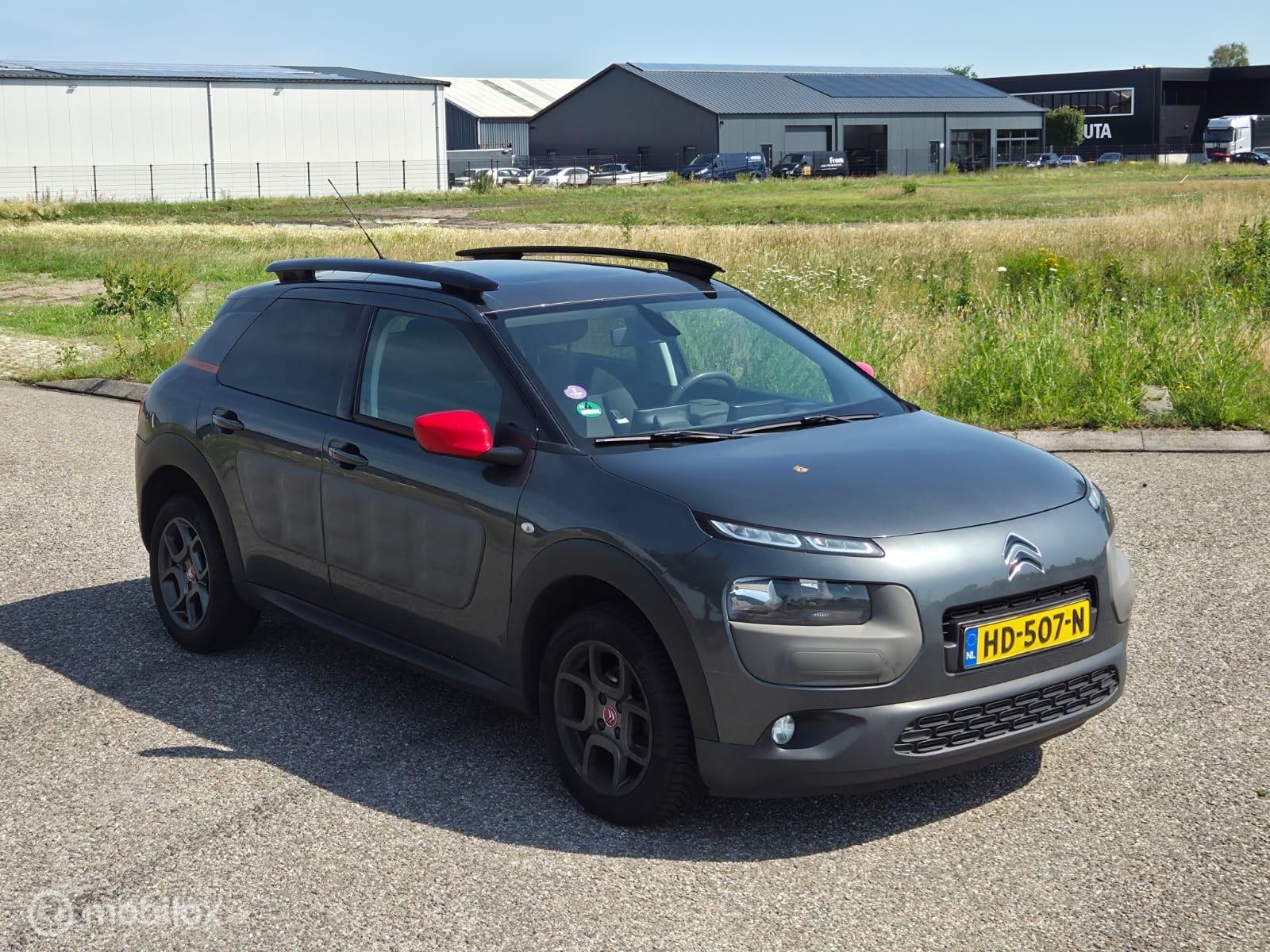 Foto van Citroen C4 Cactus