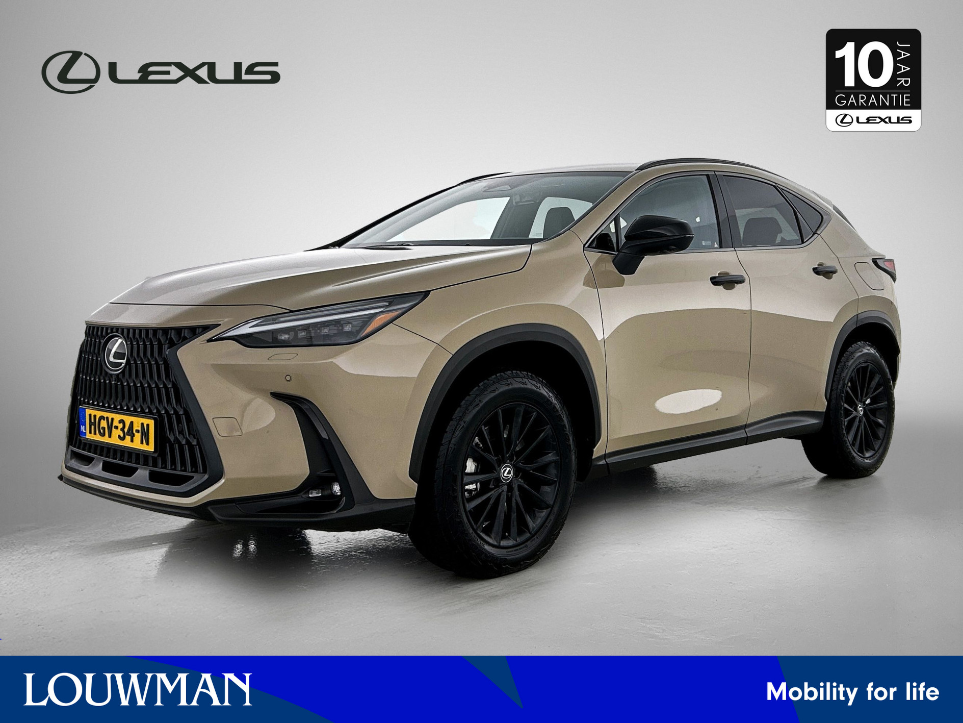 Foto van Lexus NX