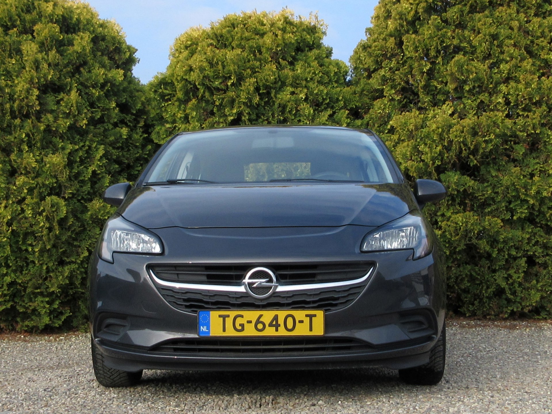 Foto van Opel Corsa-e