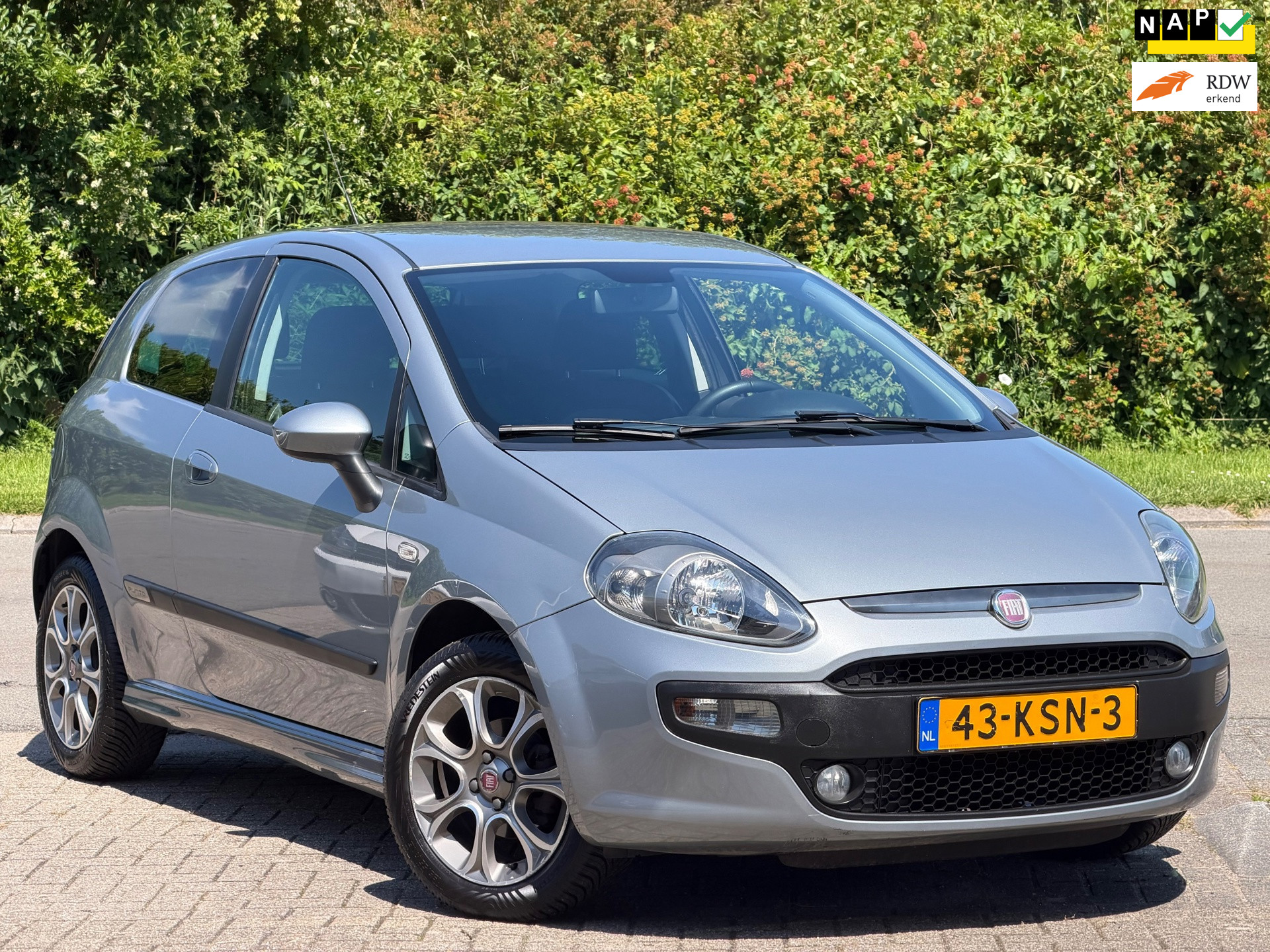 Foto van FIAT FIAT PUNTO