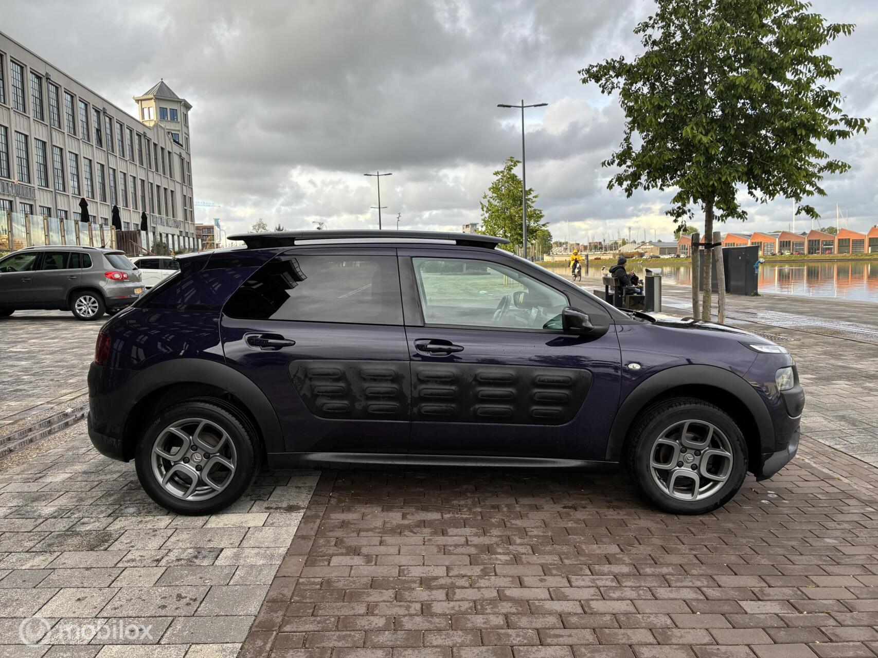 Foto van Citroen C4 Cactus