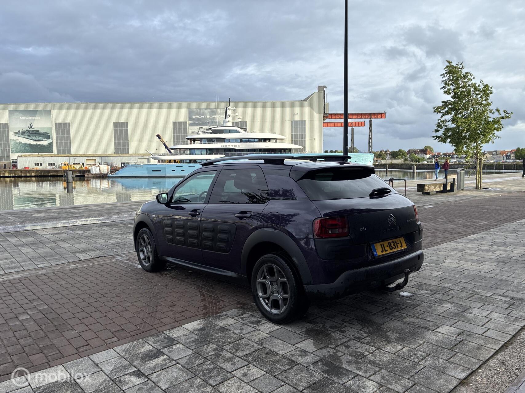 Foto van Citroen C4 Cactus