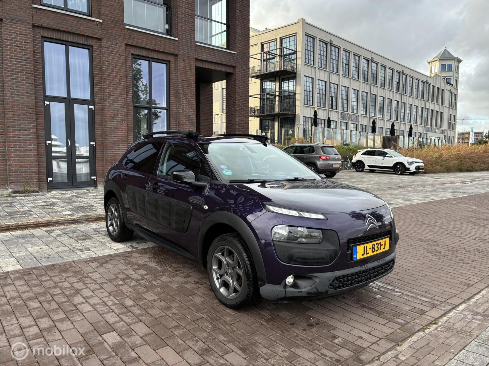 Foto van Citroen C4 Cactus