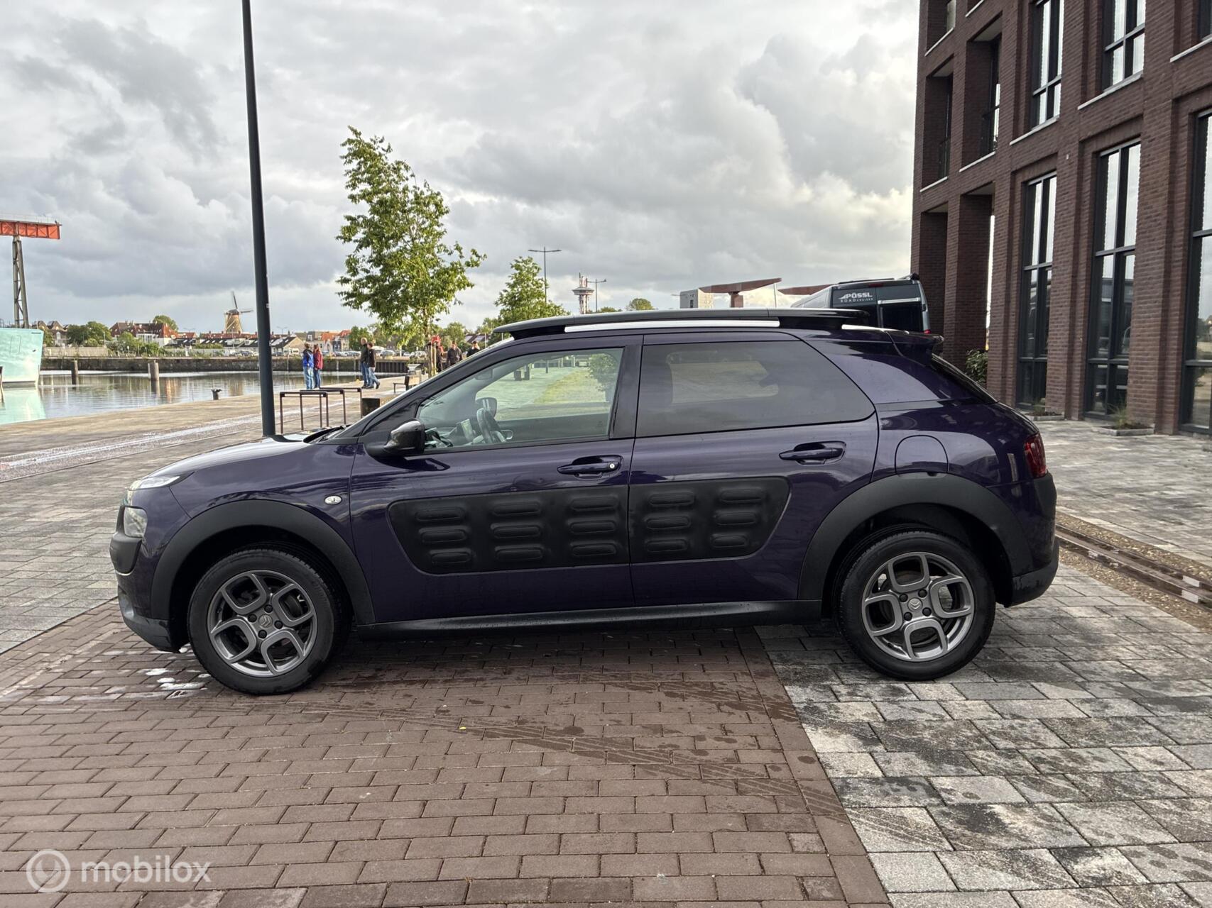 Foto van Citroen C4 Cactus