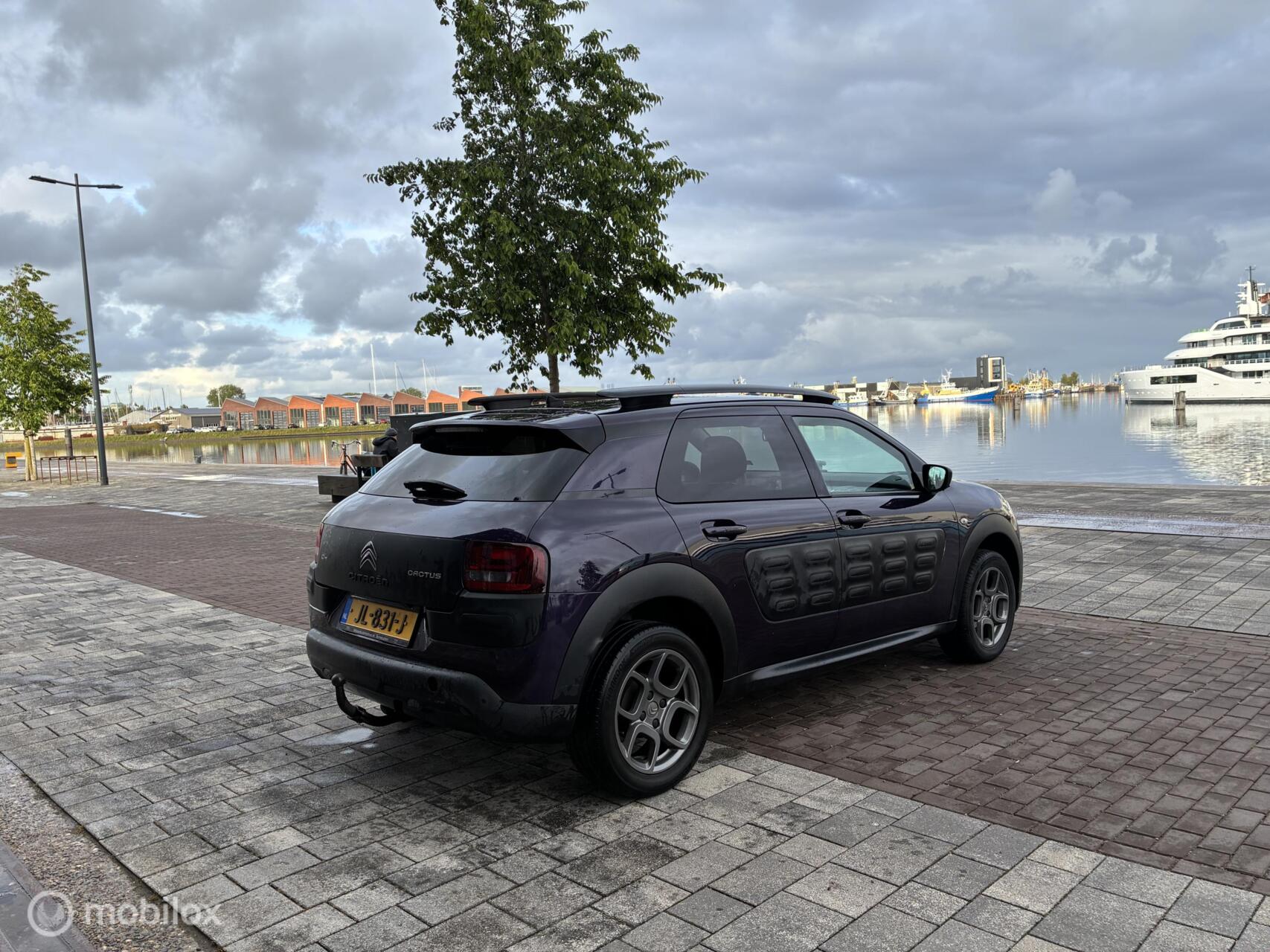Foto van Citroen C4 Cactus