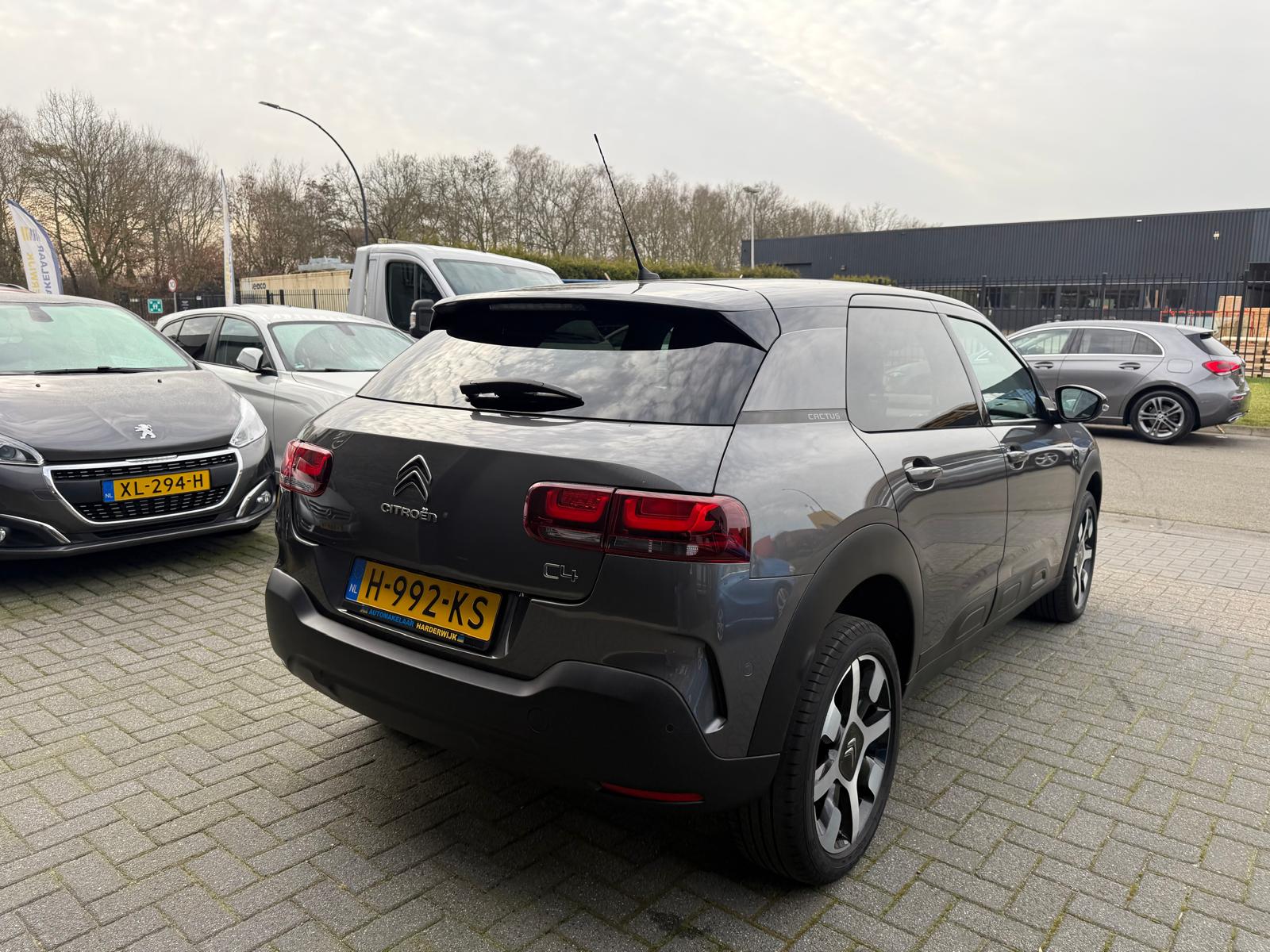 Foto van Citroen C4 Cactus