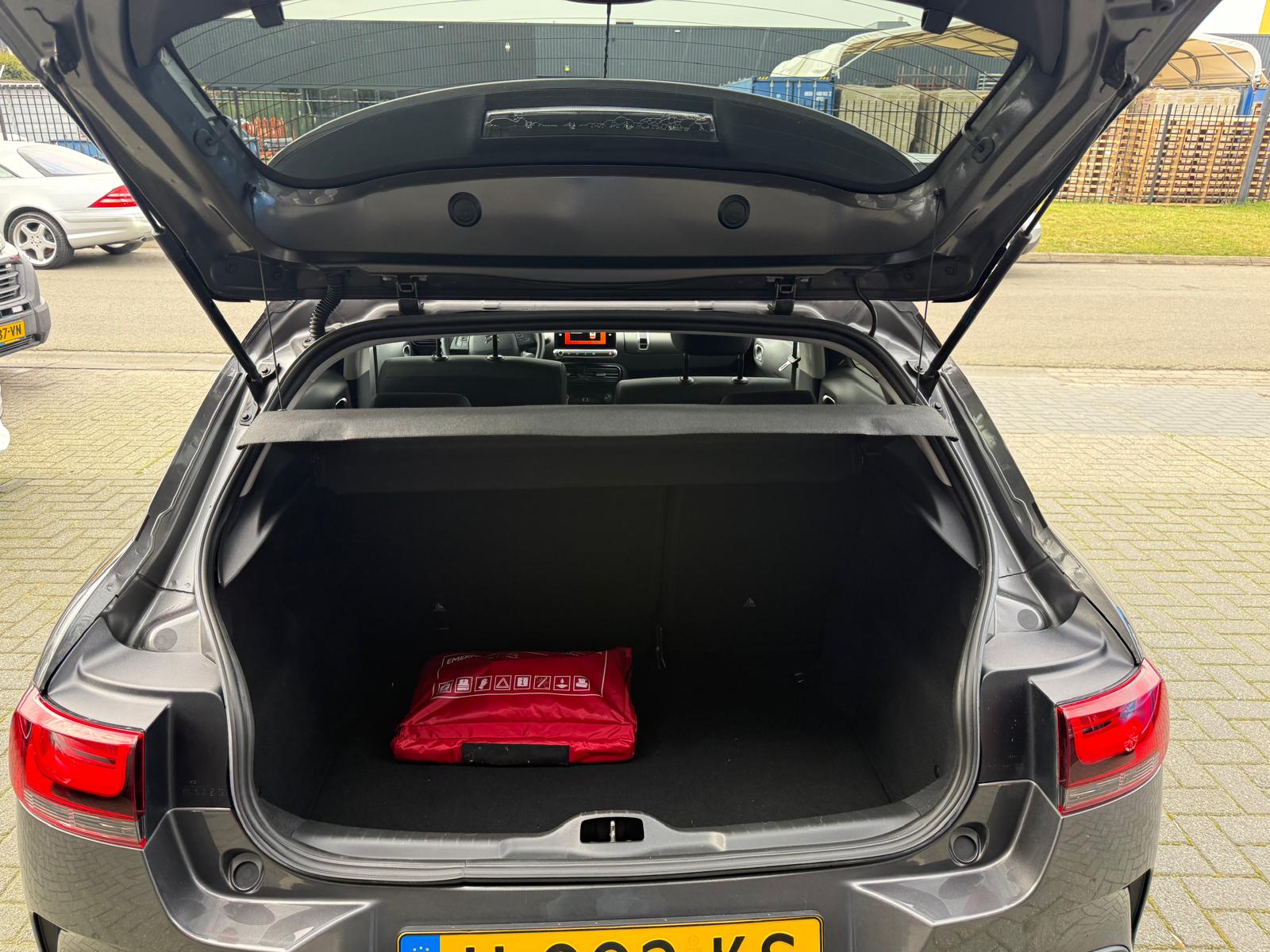 Foto van Citroen C4 Cactus