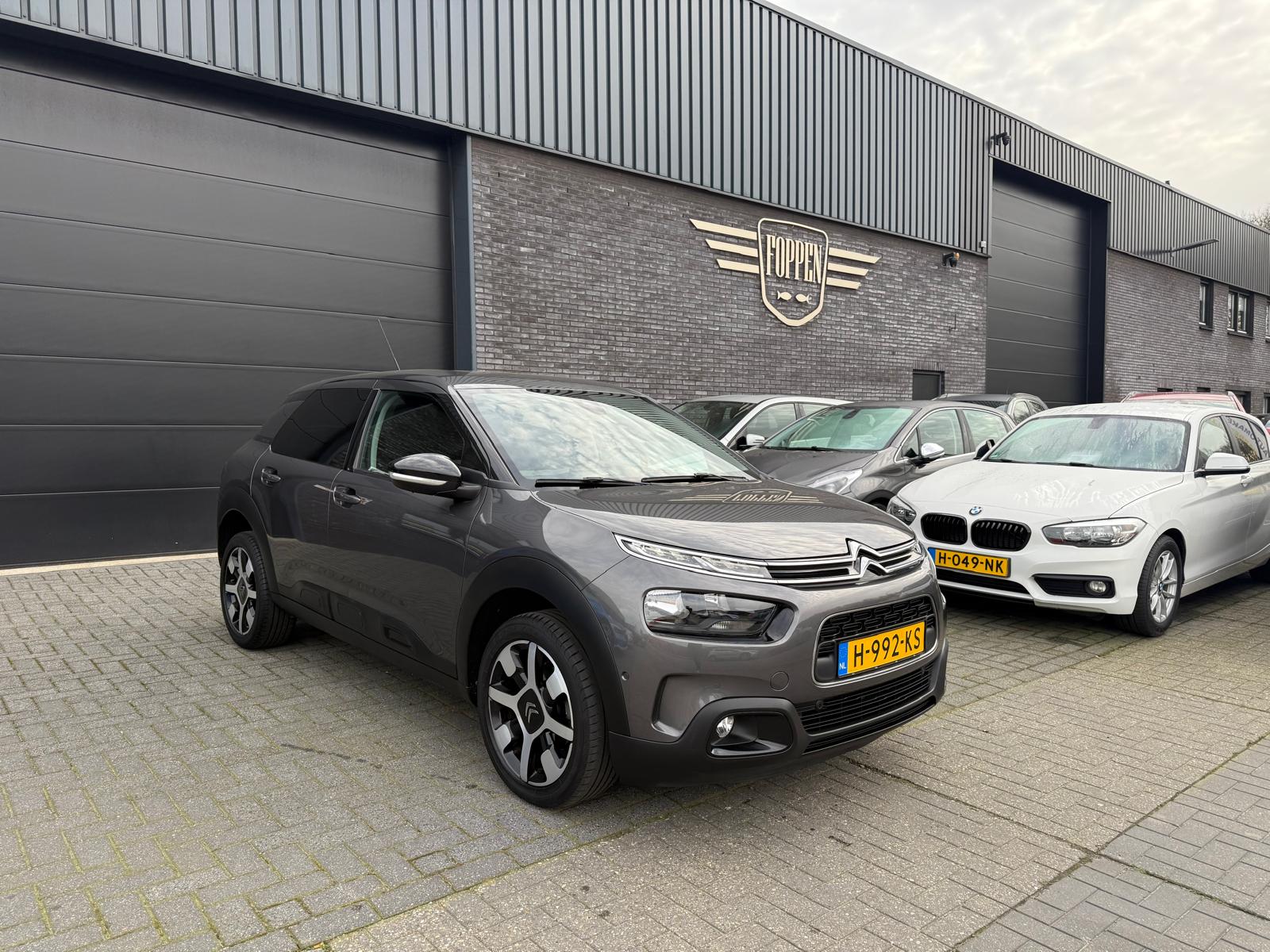 Foto van Citroen C4 Cactus