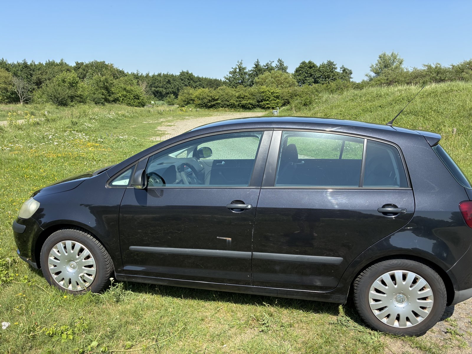 Inspectiefoto van Volkswagen Golf Plus