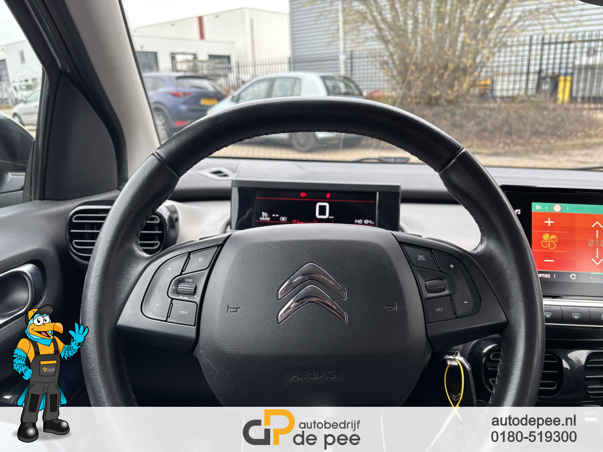 Foto van Citroen C4 Cactus