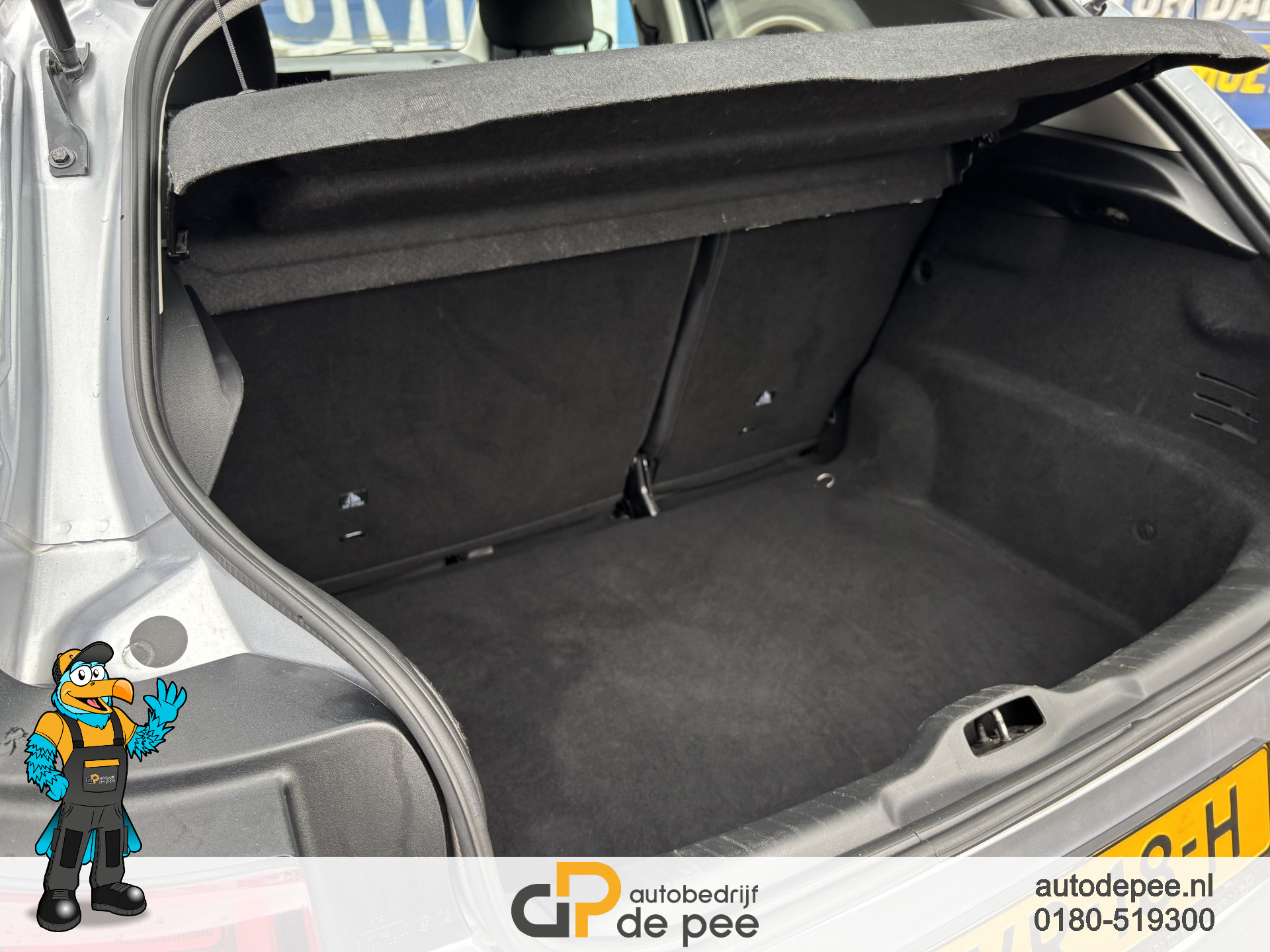 Foto van Citroen C4 Cactus