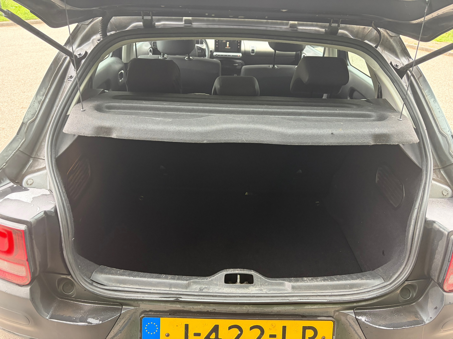 Foto van Citroen C4 Cactus