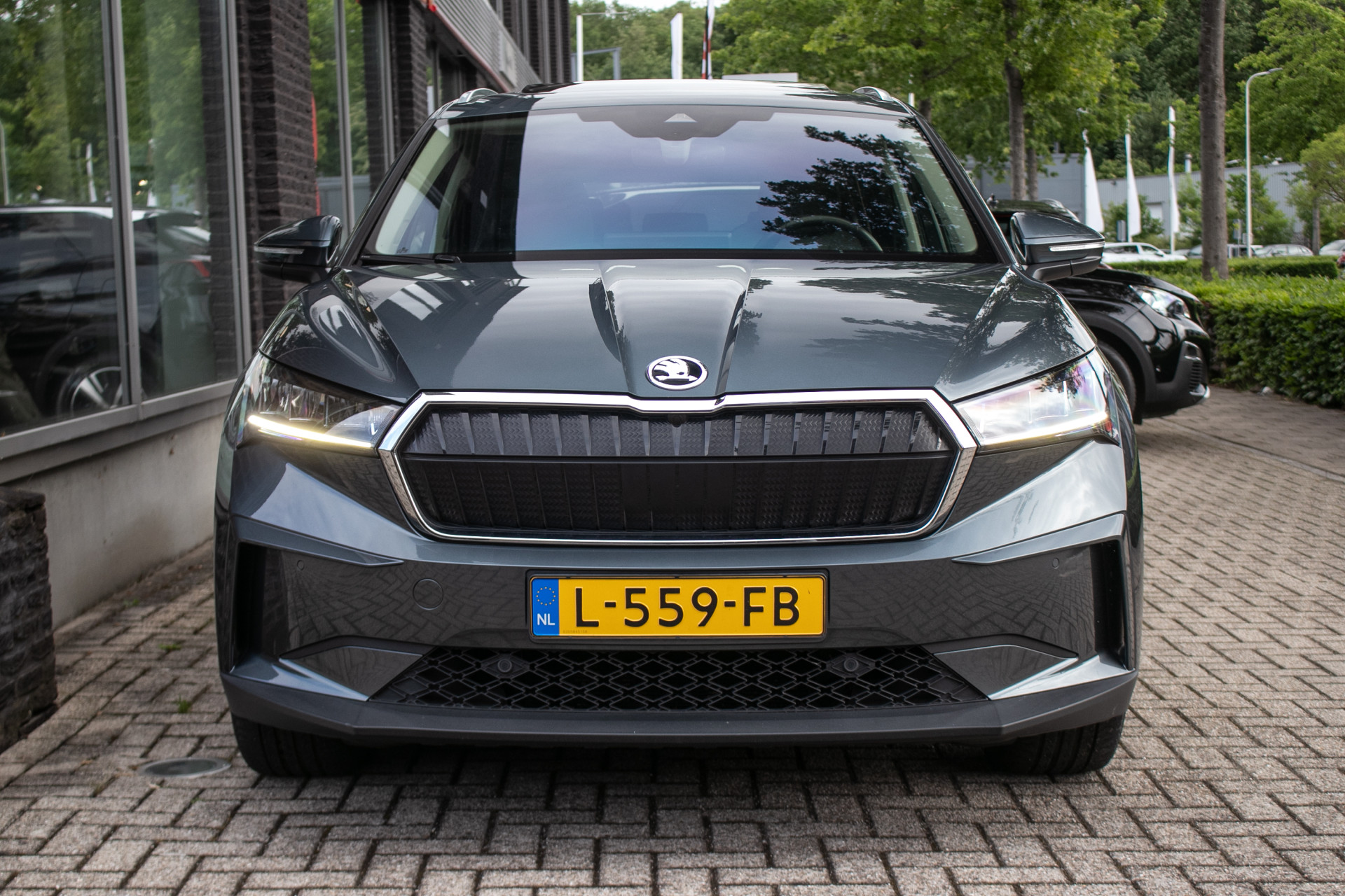 Foto van Skoda Enyaq 80