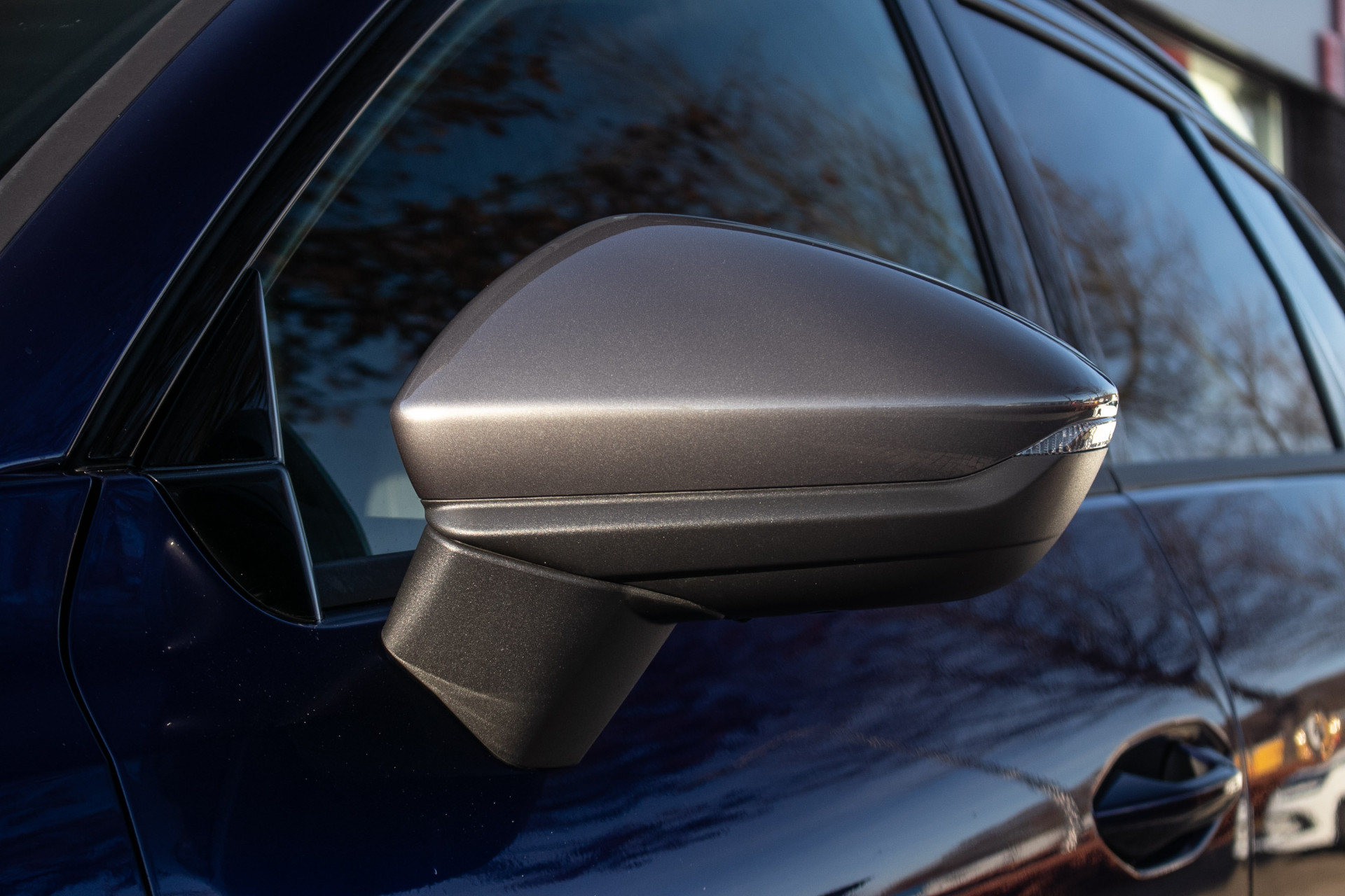 Foto van Cupra Terramar