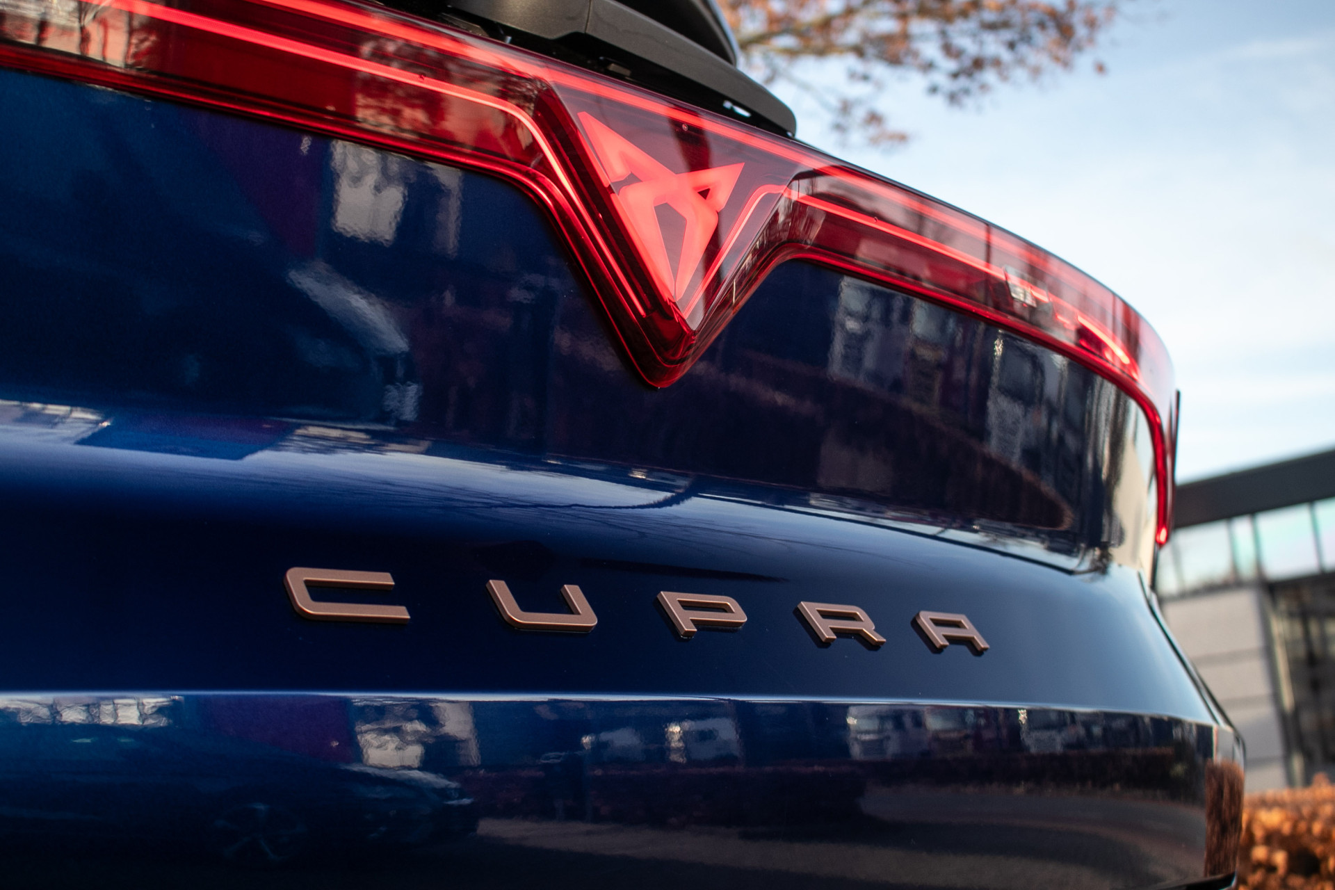 Foto van Cupra Terramar