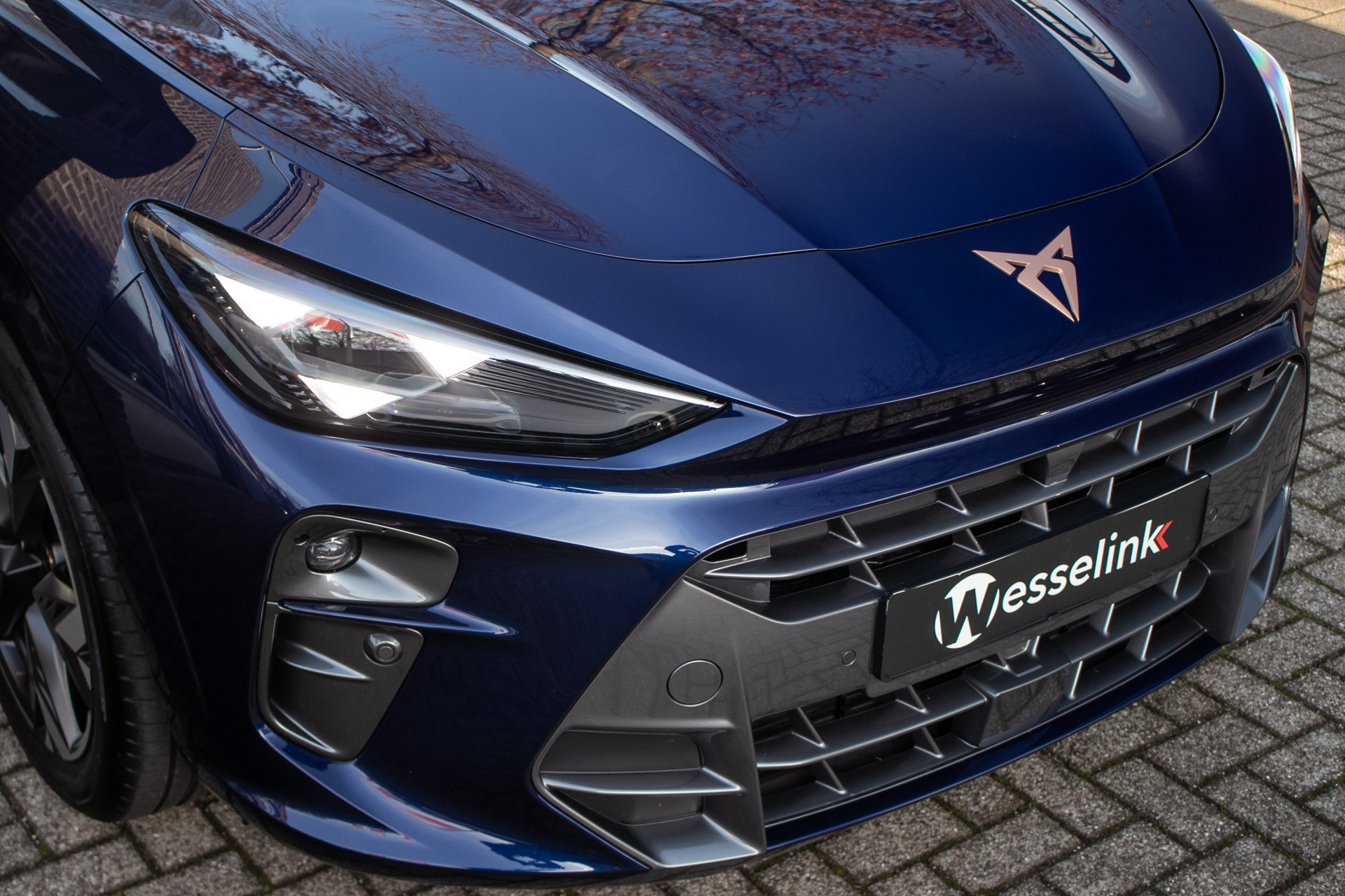 Foto van Cupra Terramar