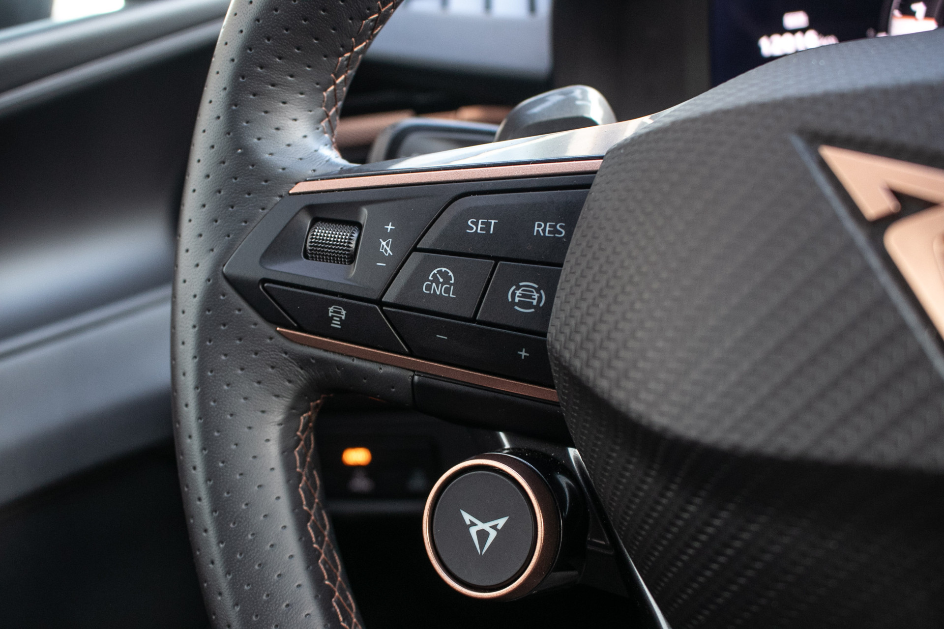 Foto van Cupra Terramar