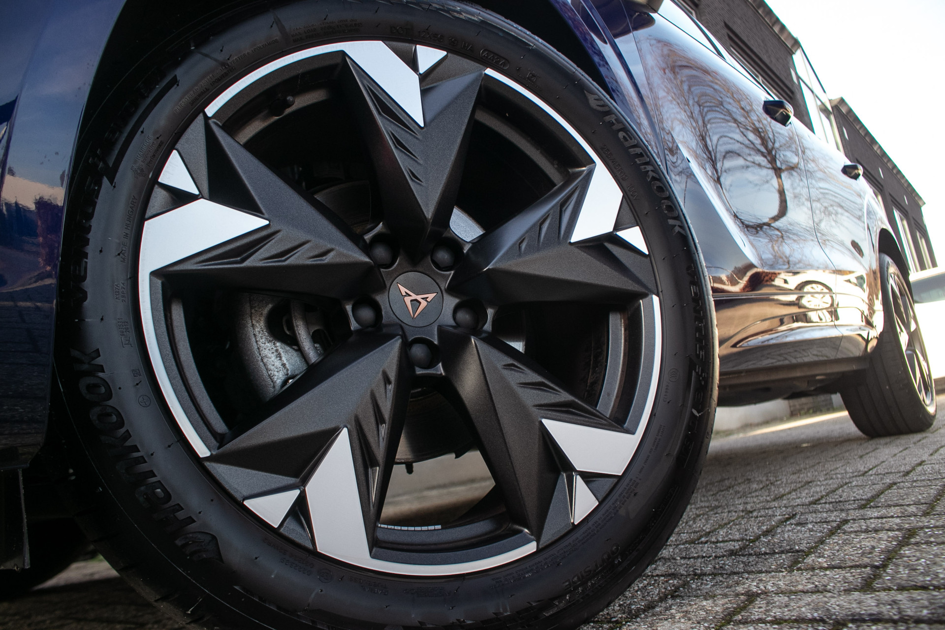 Foto van Cupra Terramar
