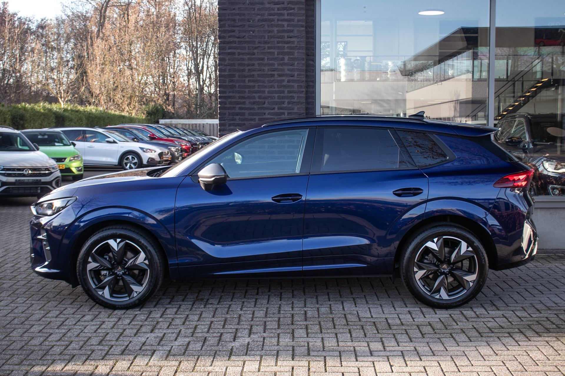 Foto van Cupra Terramar