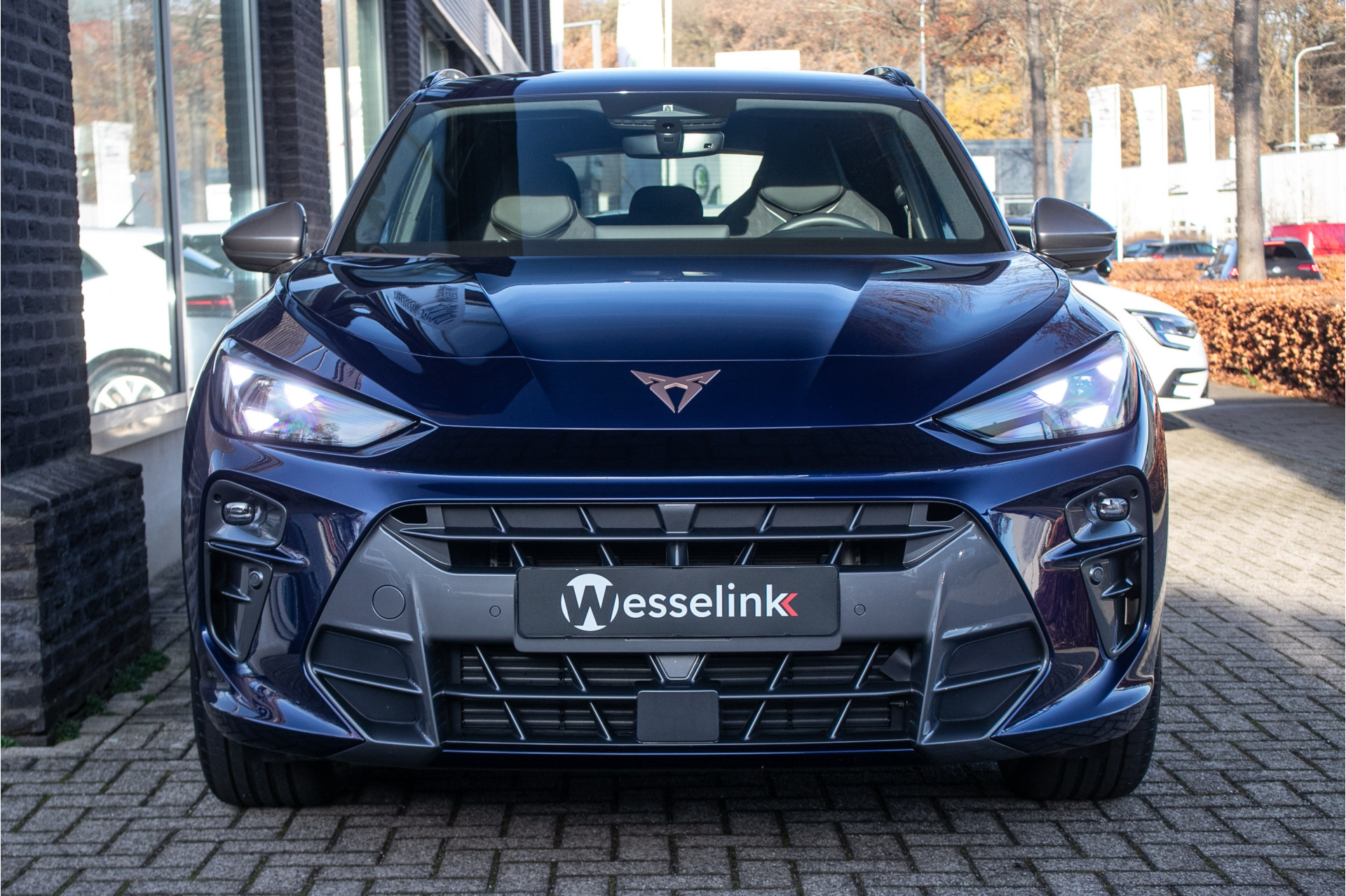 Foto van Cupra Terramar