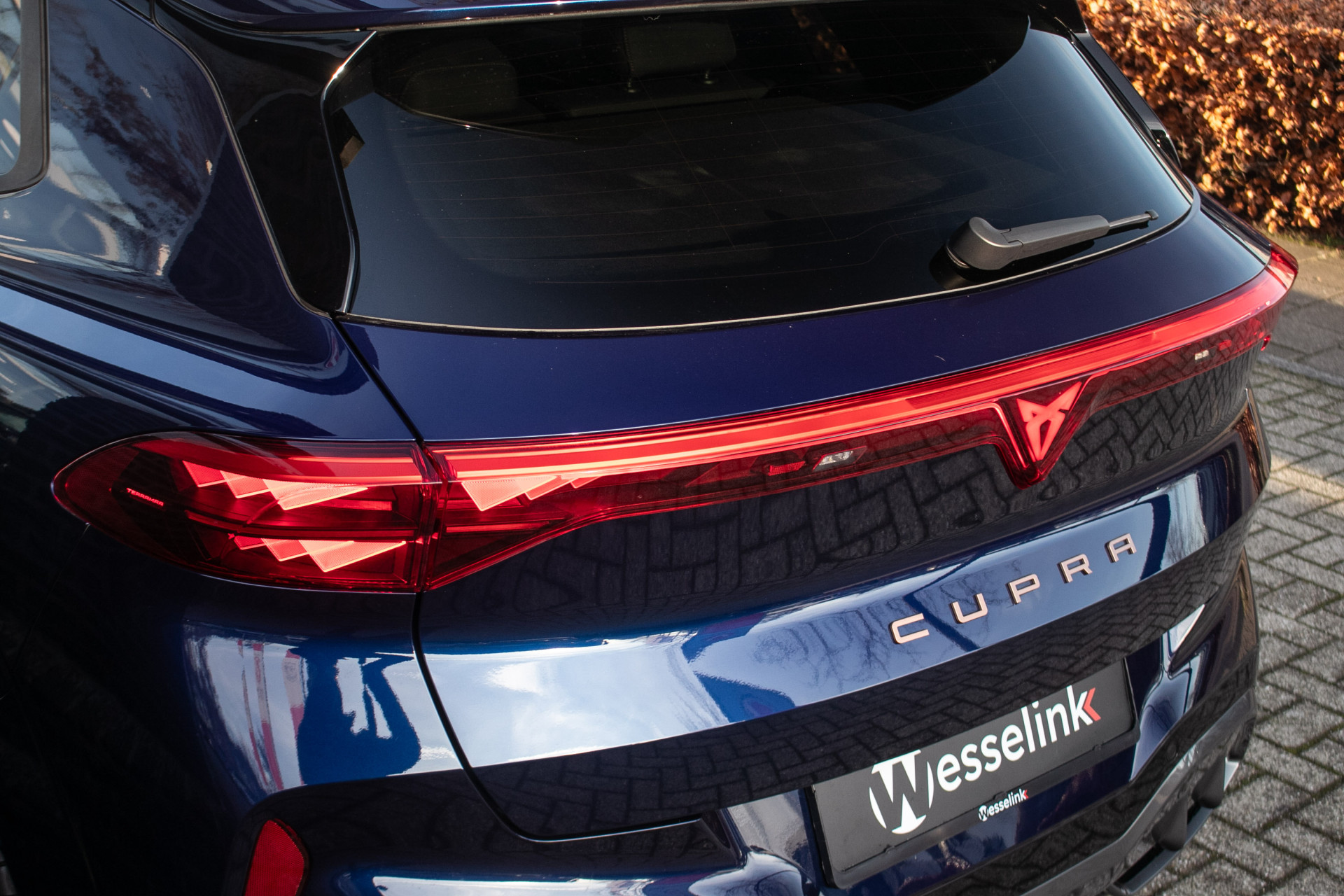 Foto van Cupra Terramar