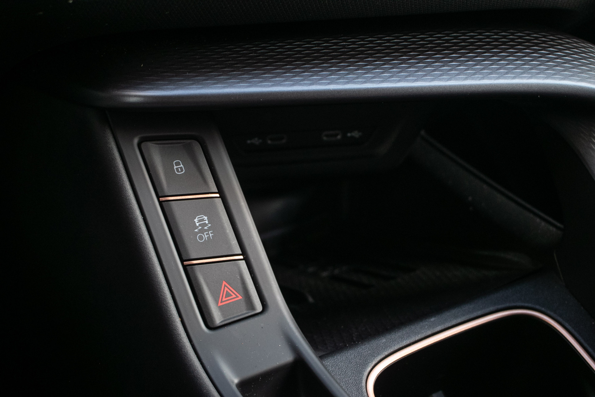 Foto van Cupra Terramar