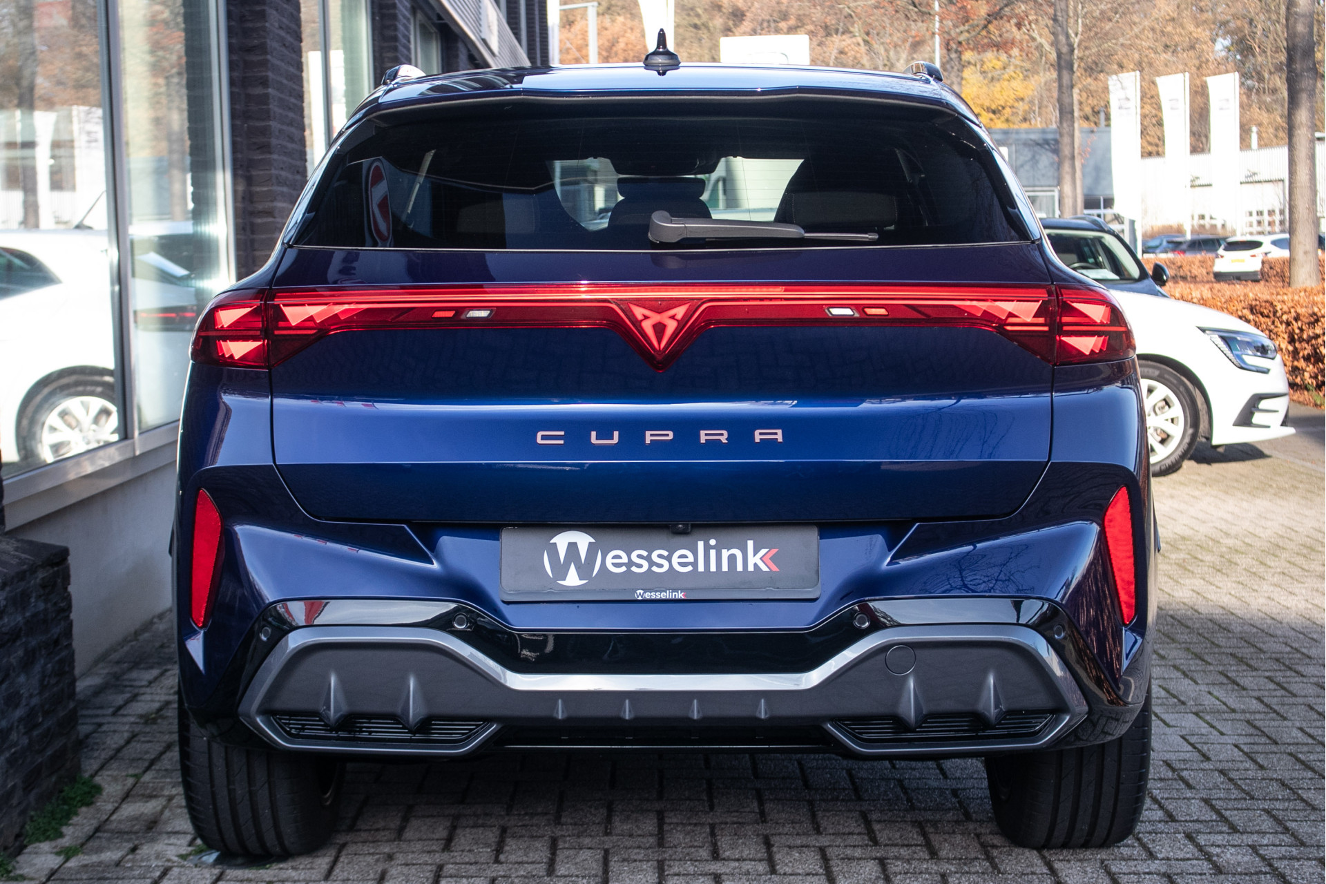 Foto van Cupra Terramar