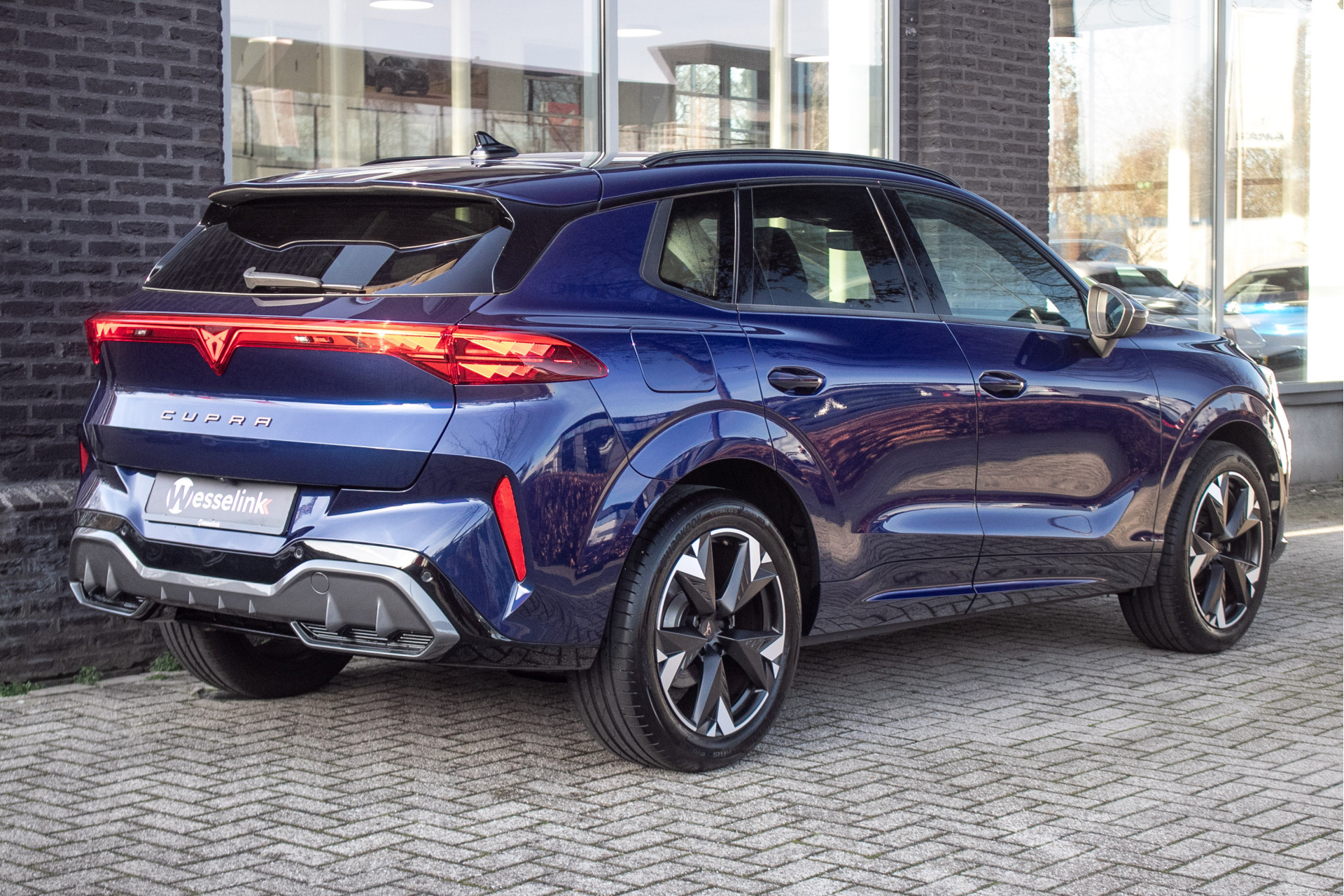 Foto van Cupra Terramar
