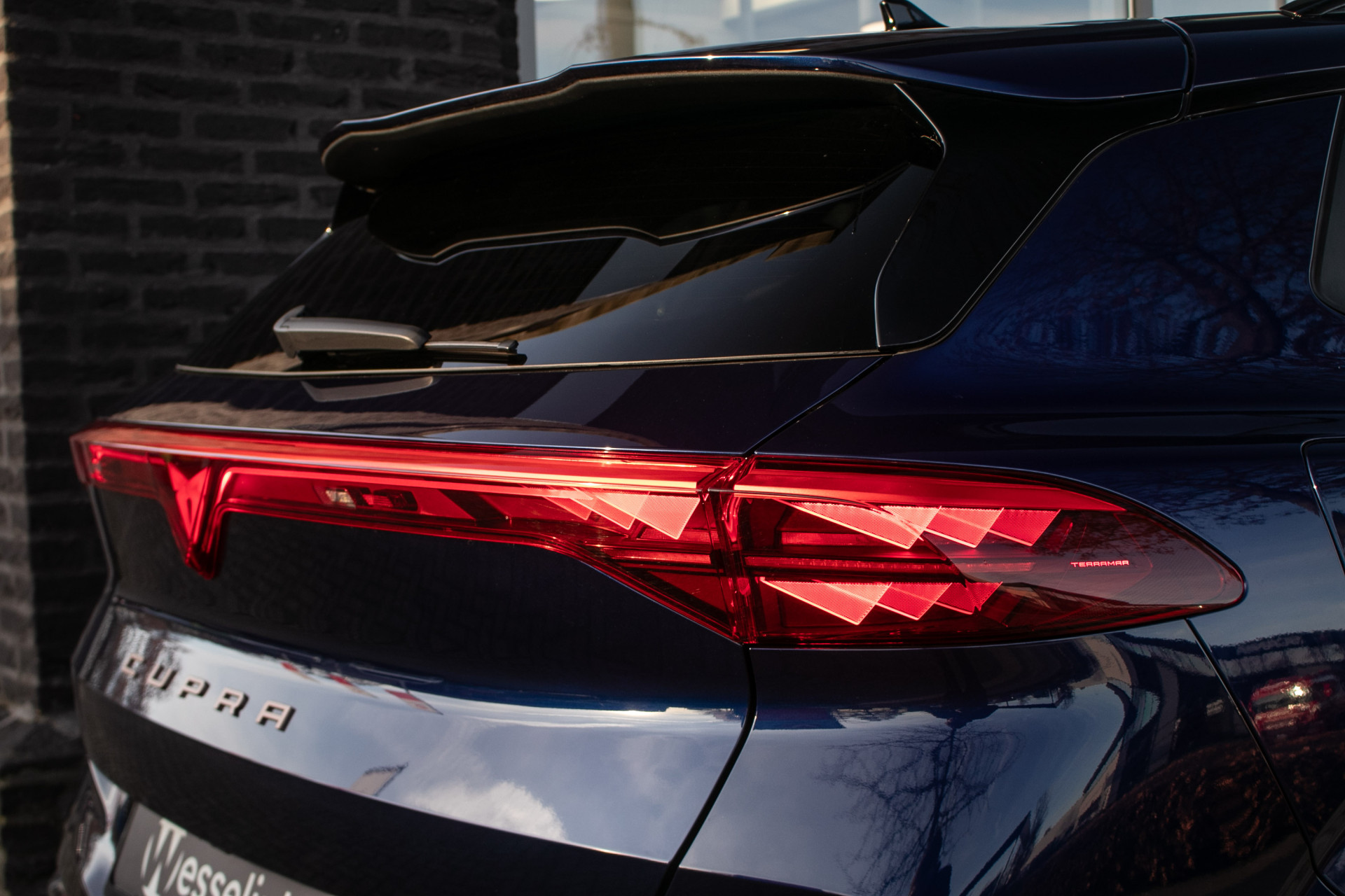 Foto van Cupra Terramar