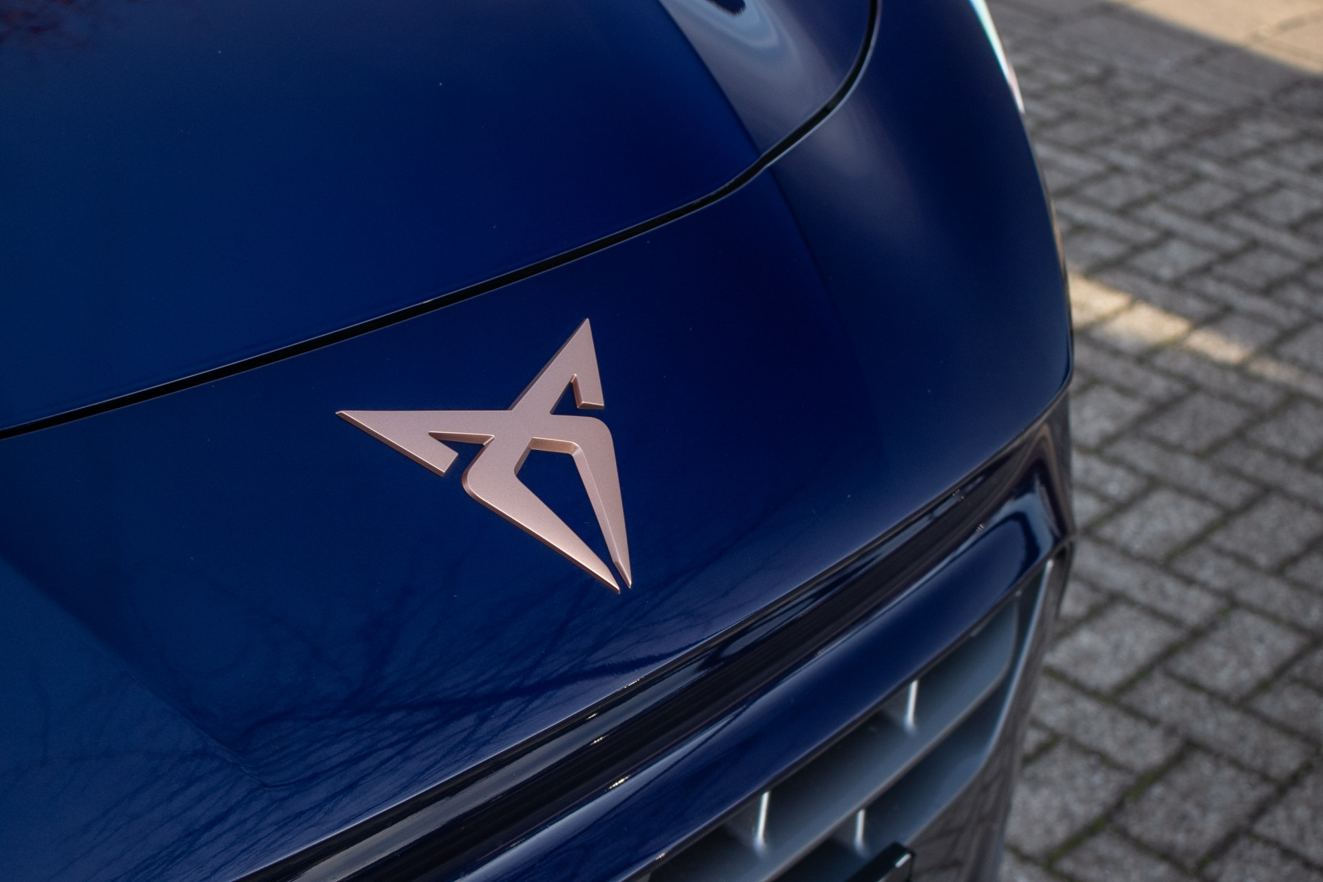 Foto van Cupra Terramar
