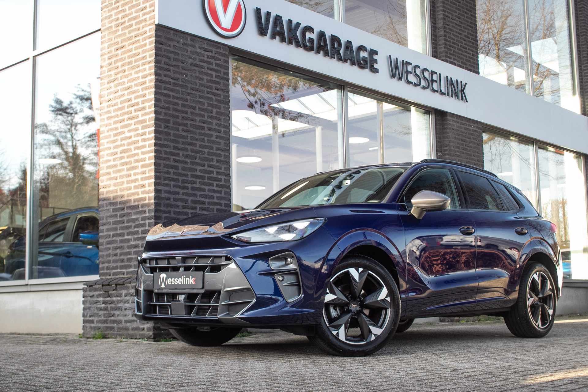 Foto van Cupra Terramar