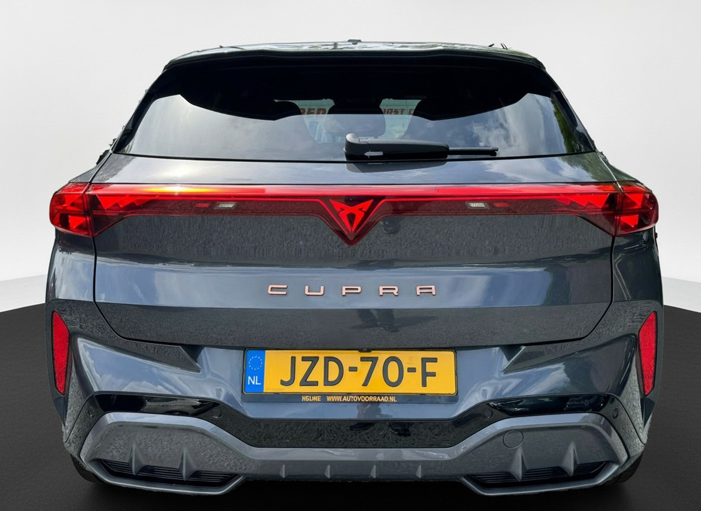 Foto van Cupra Terramar