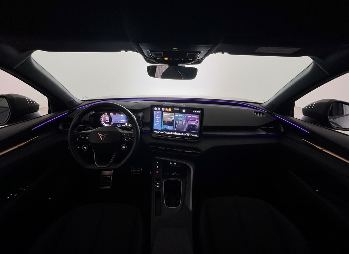 Foto van Cupra Terramar