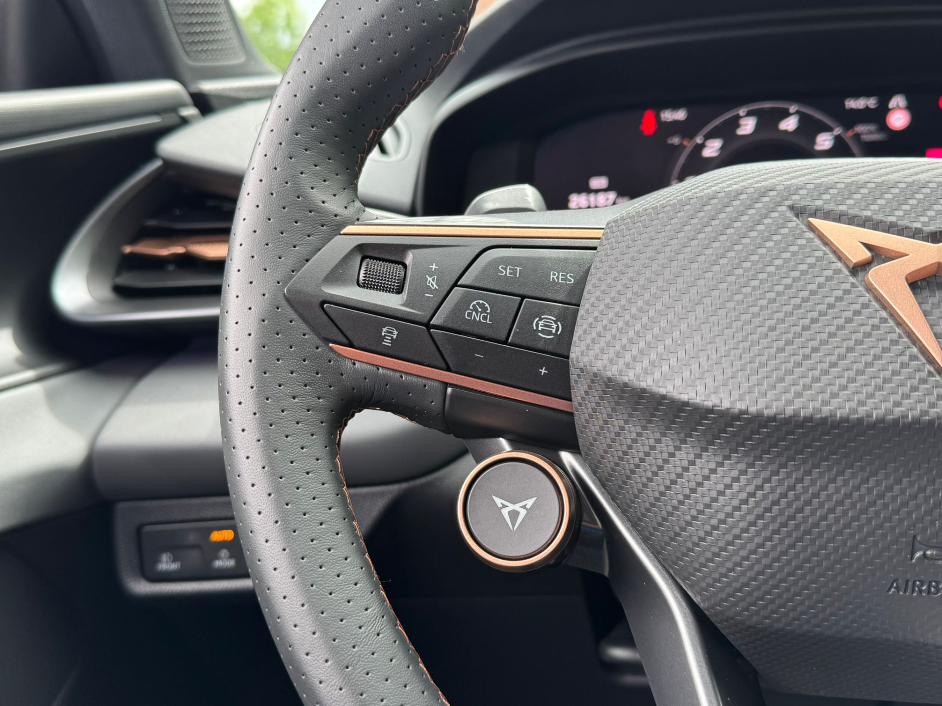 Foto van Cupra Terramar