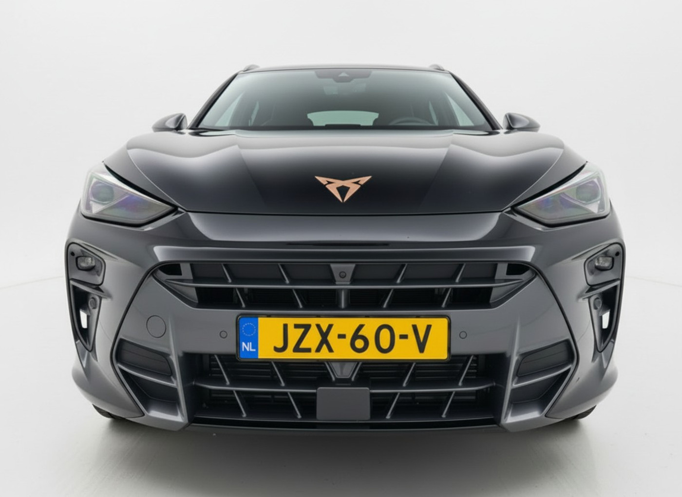 Foto van Cupra Terramar