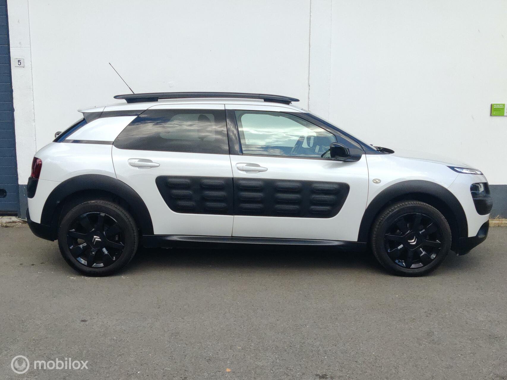 Foto van Citroen C4 Cactus