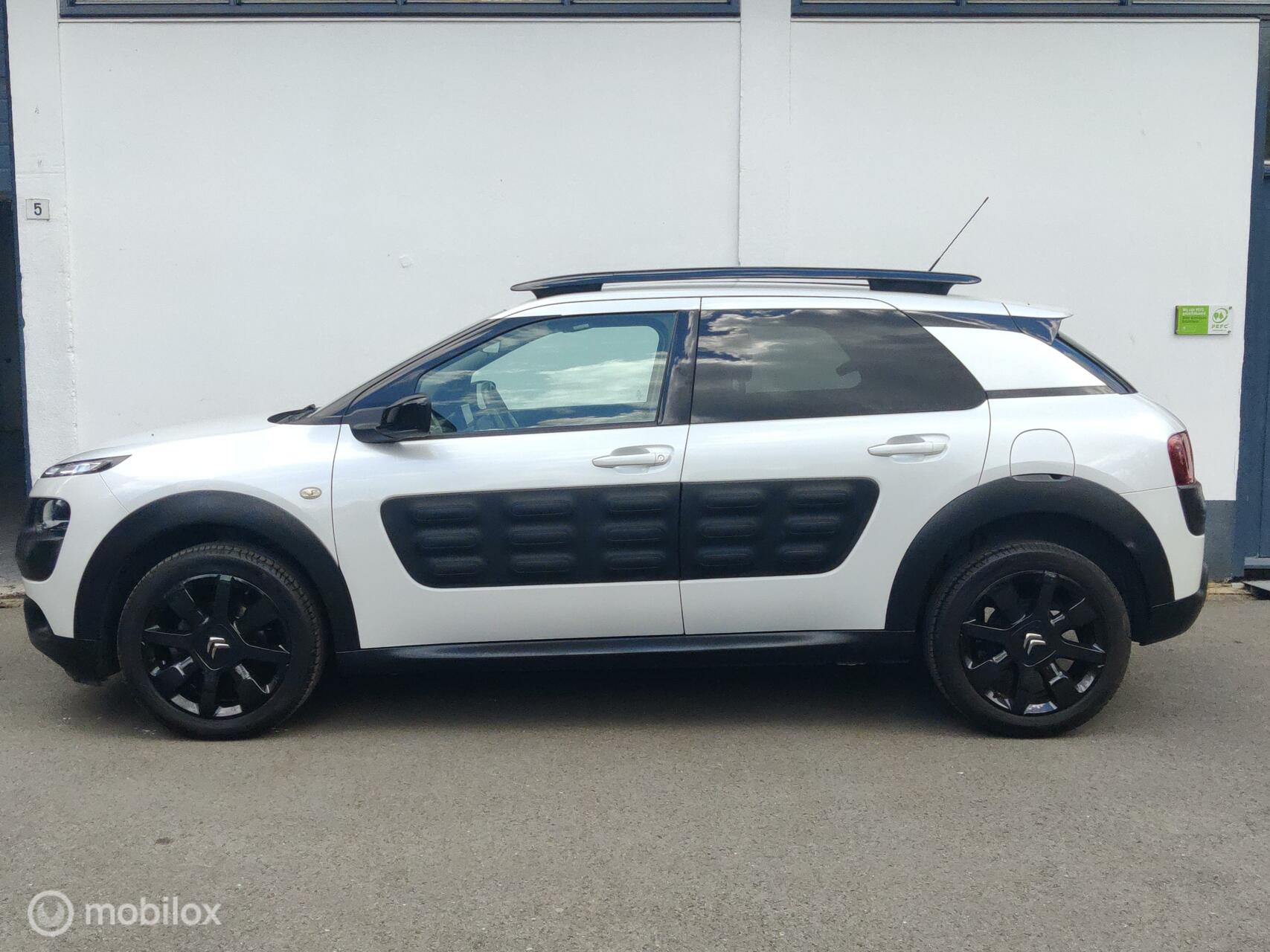 Foto van Citroen C4 Cactus