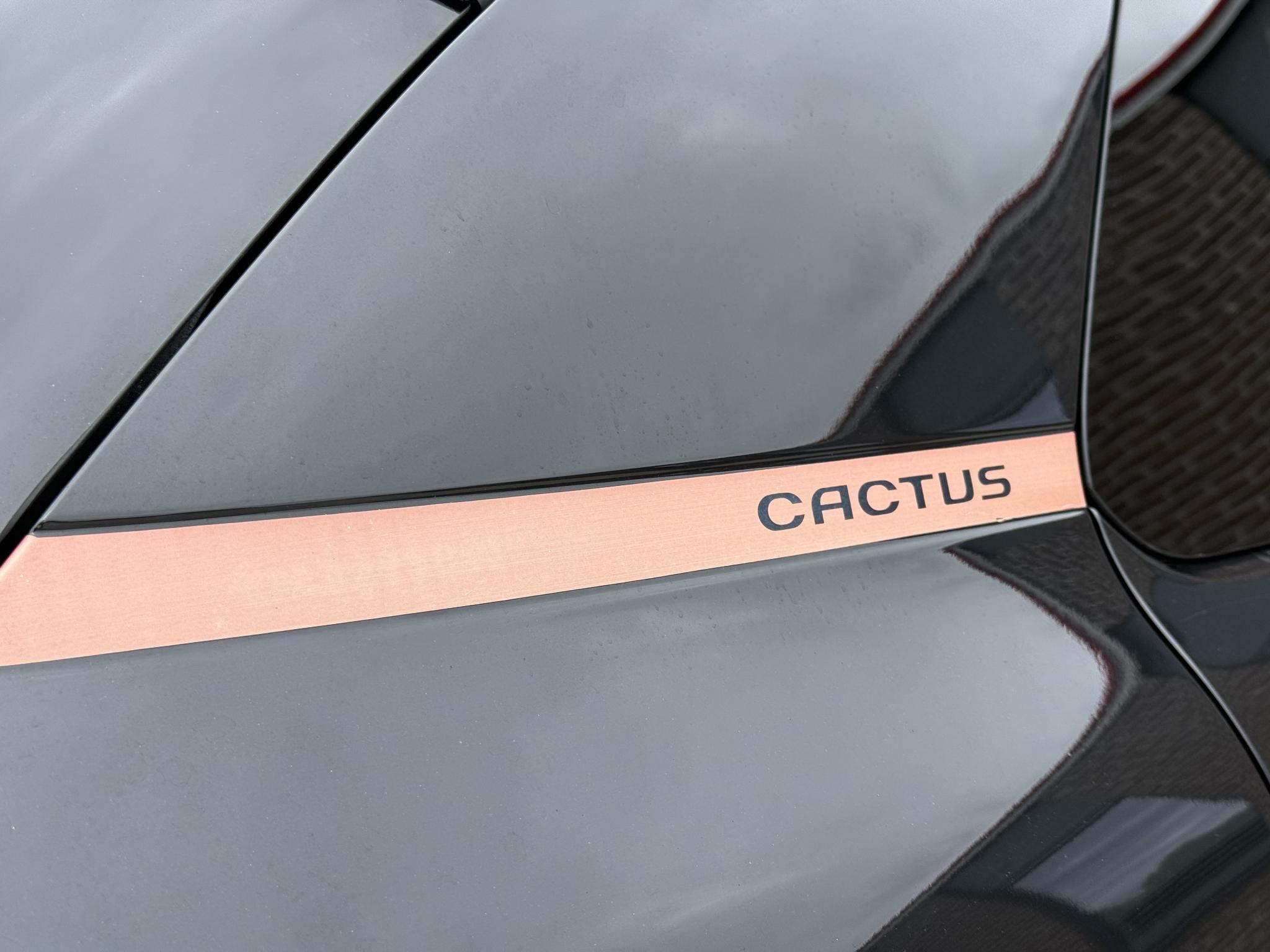 Foto van Citroen C4 Cactus