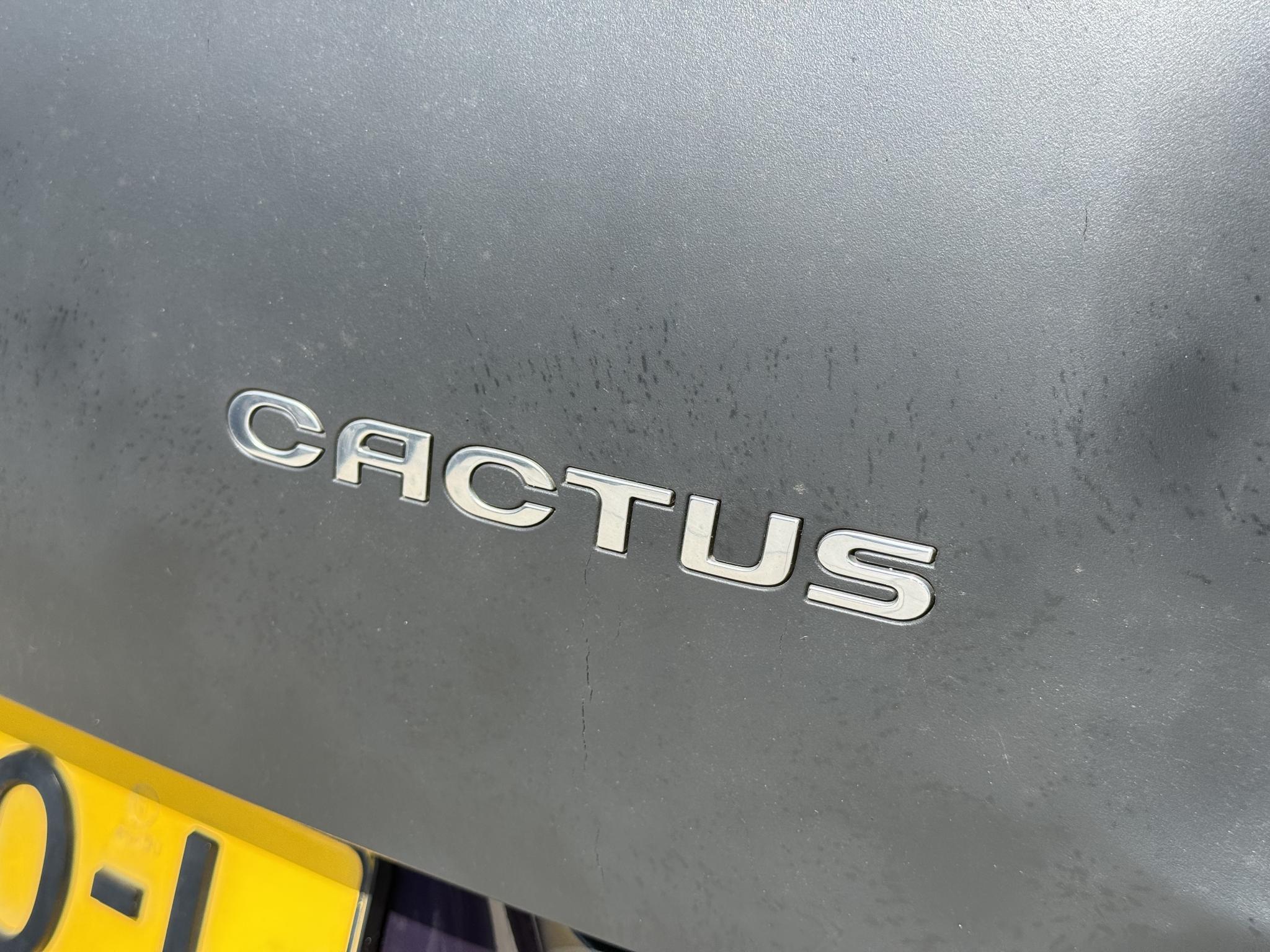Foto van Citroen C4 Cactus
